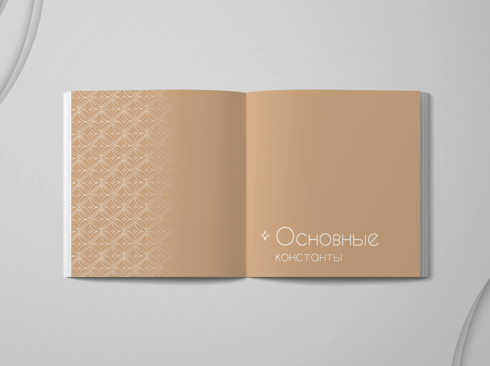 Разработка брендбука "Marmalato" — Изображение №4 — Брендинг, Графика на Dprofile