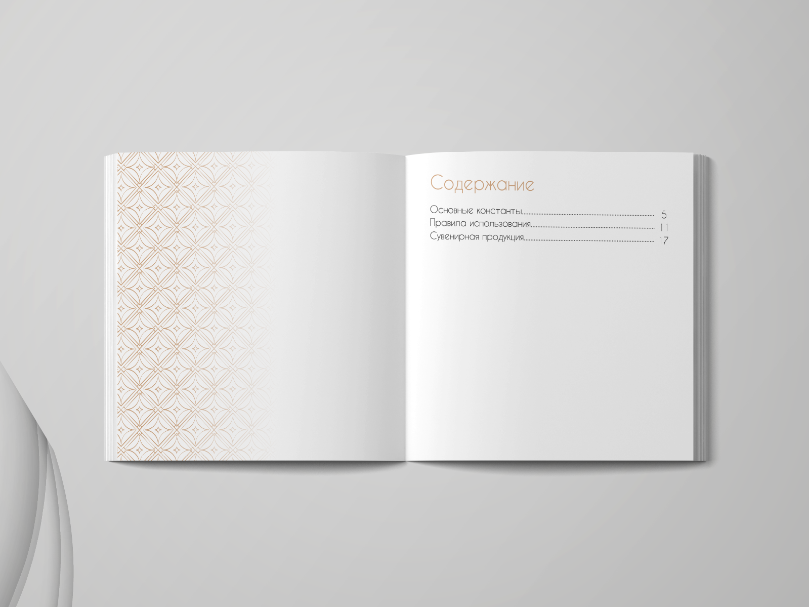 Разработка брендбука "Marmalato" — Изображение №3 — Брендинг, Графика на Dprofile