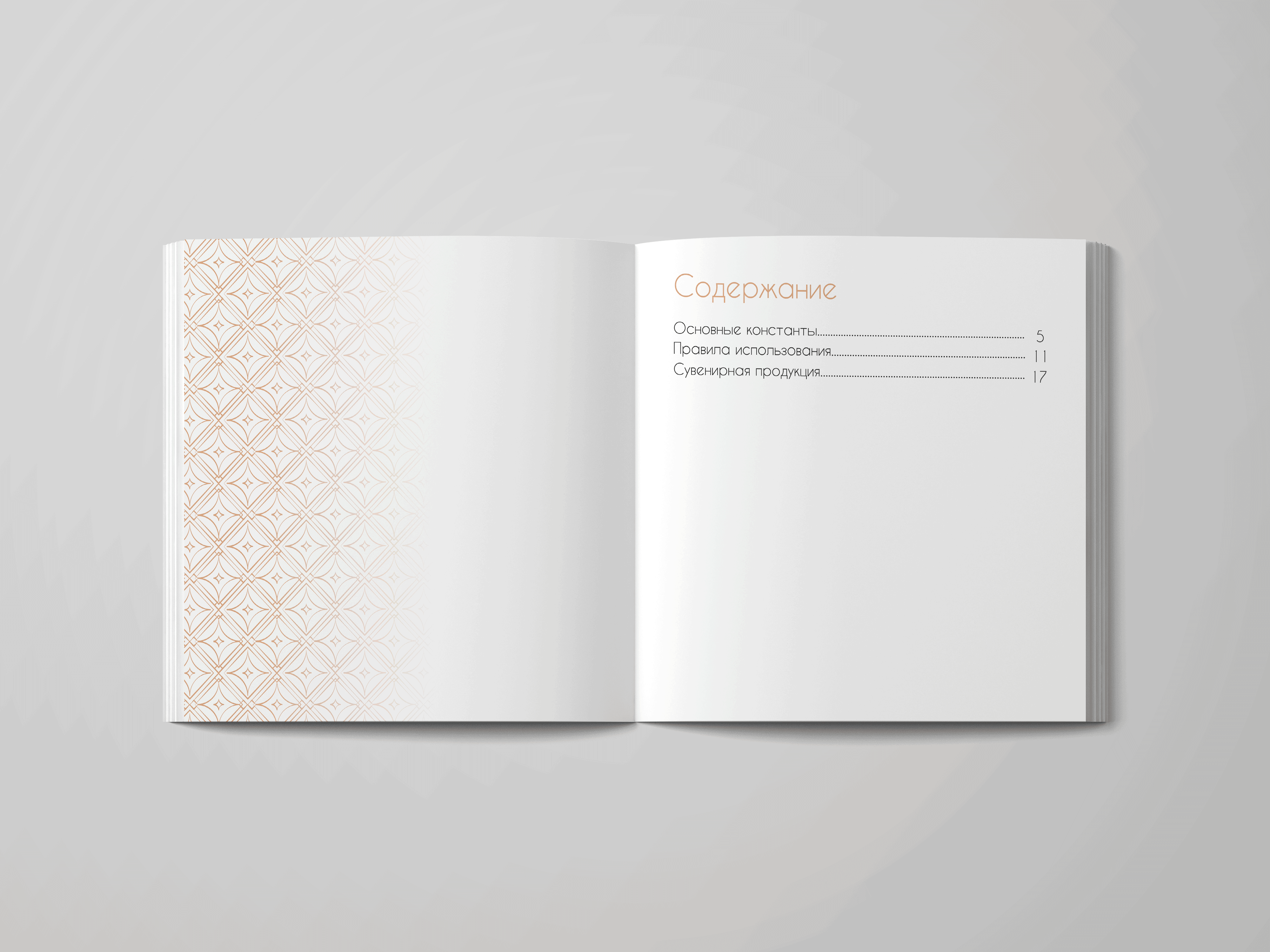 Разработка брендбука "Marmalato" — Изображение №1 — Брендинг, Графика на Dprofile