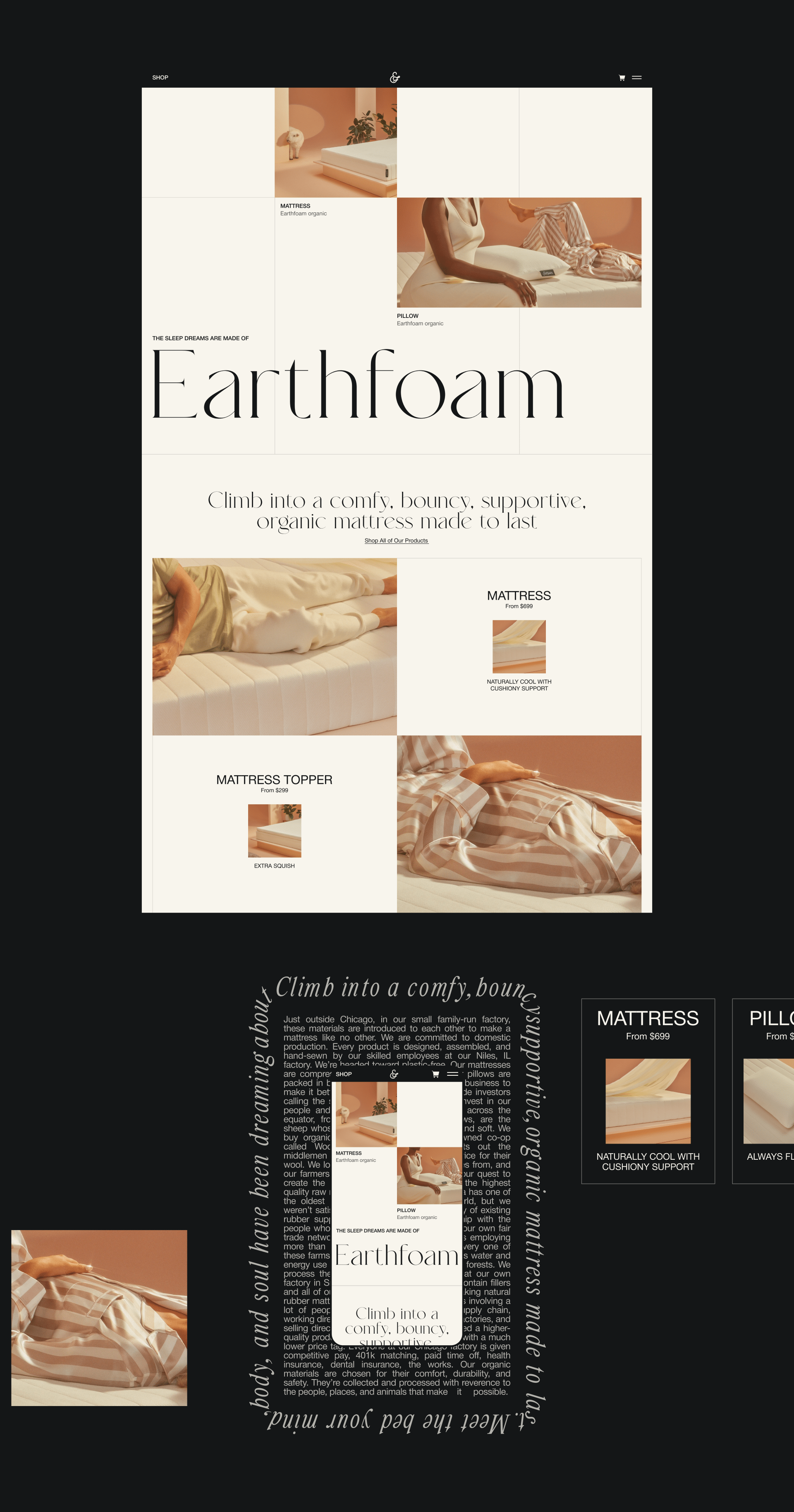 Earthfoam | E-commerce redesign — Изображение №3 — Интерфейсы на Dprofile