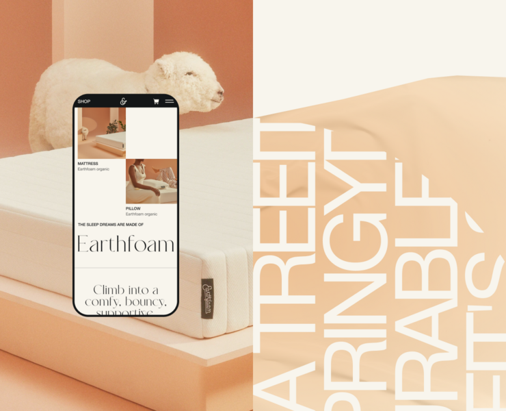 Earthfoam | E-commerce redesign — Интерфейсы на Dprofile
