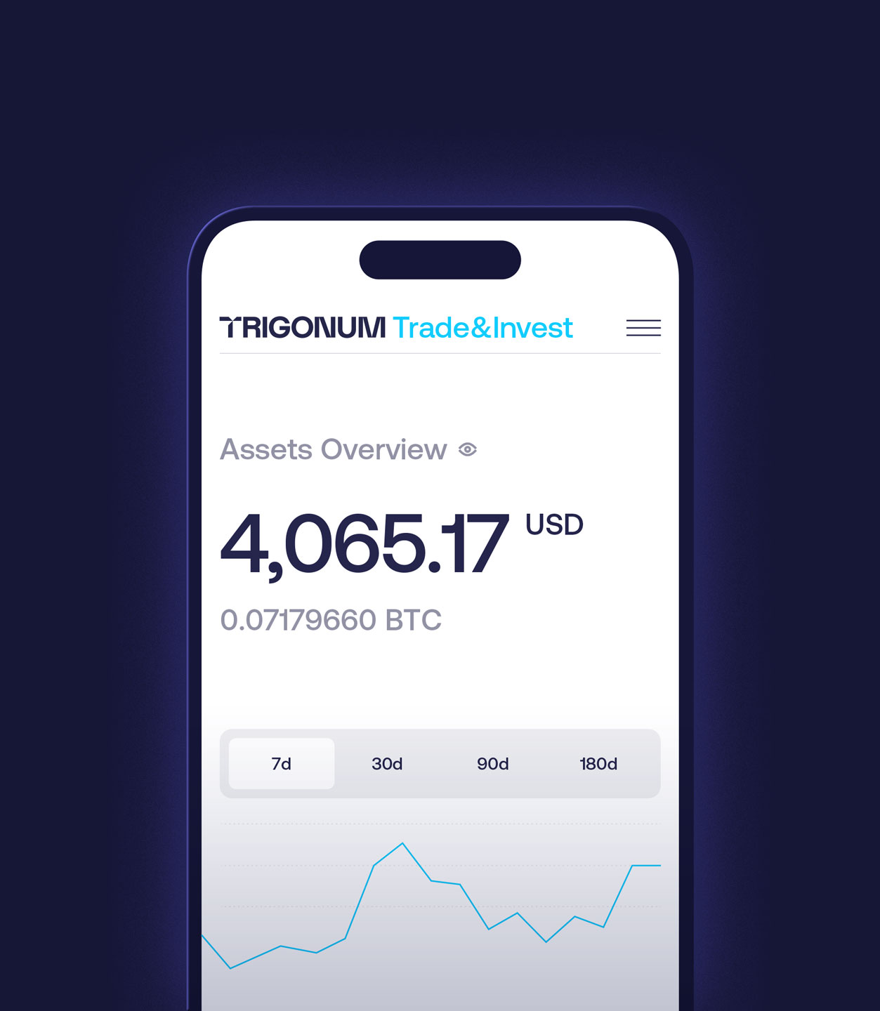 Trigonum — Изображение №4 — Брендинг, Графика на Dprofile