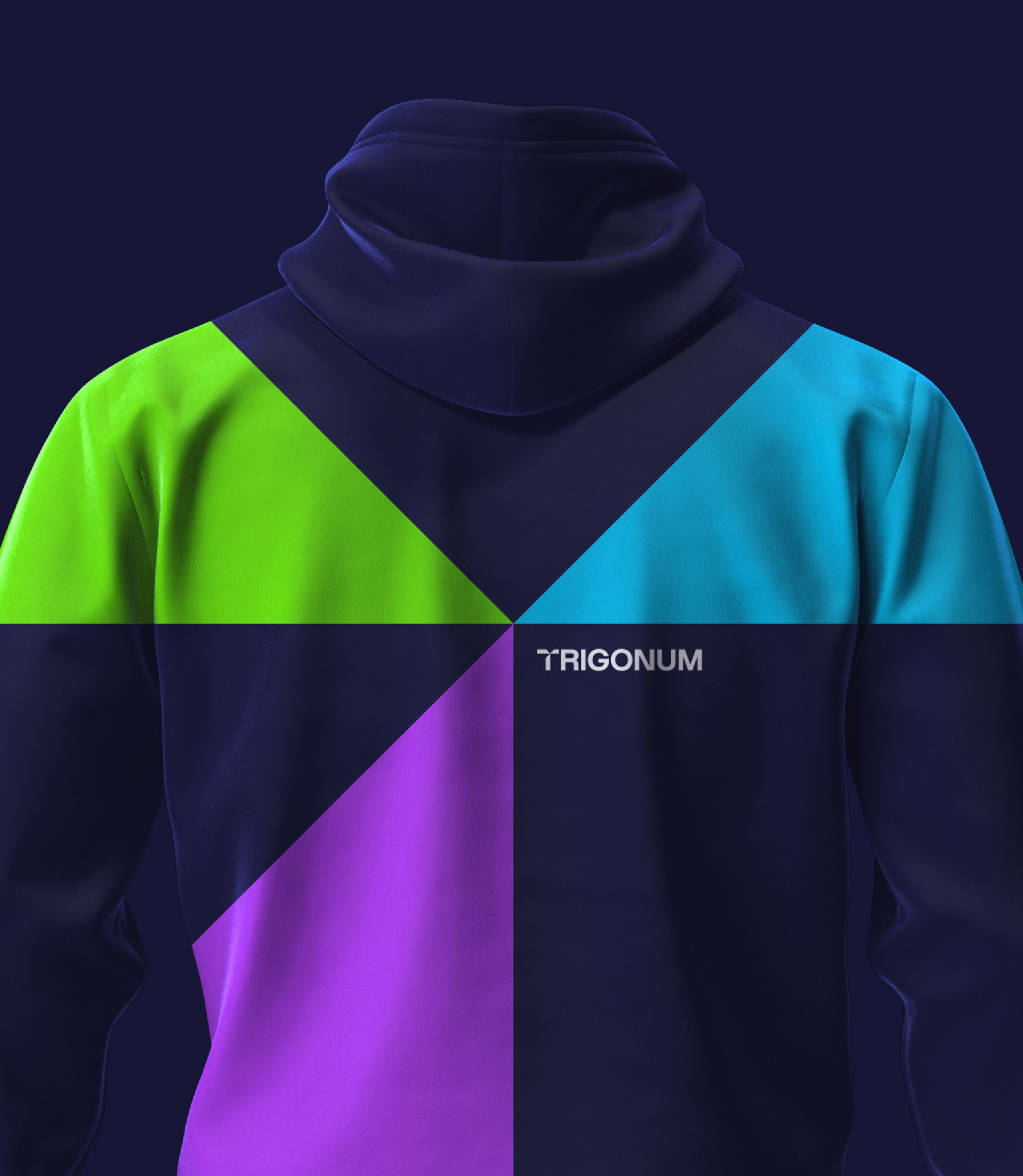 Trigonum — Изображение №12 — Брендинг, Графика на Dprofile