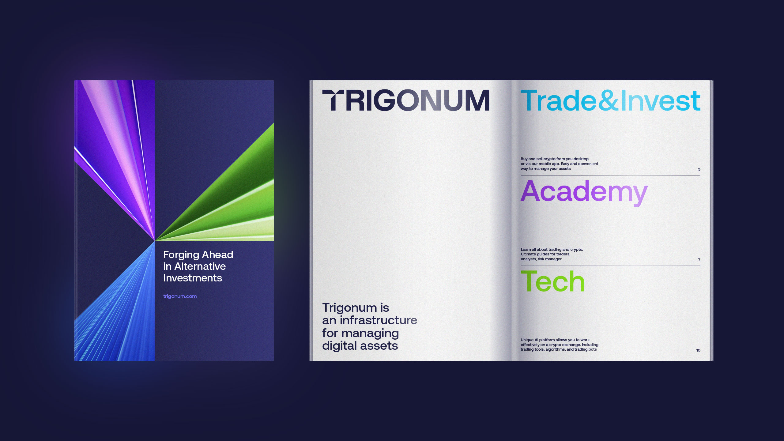 Trigonum — Изображение №11 — Брендинг, Графика на Dprofile