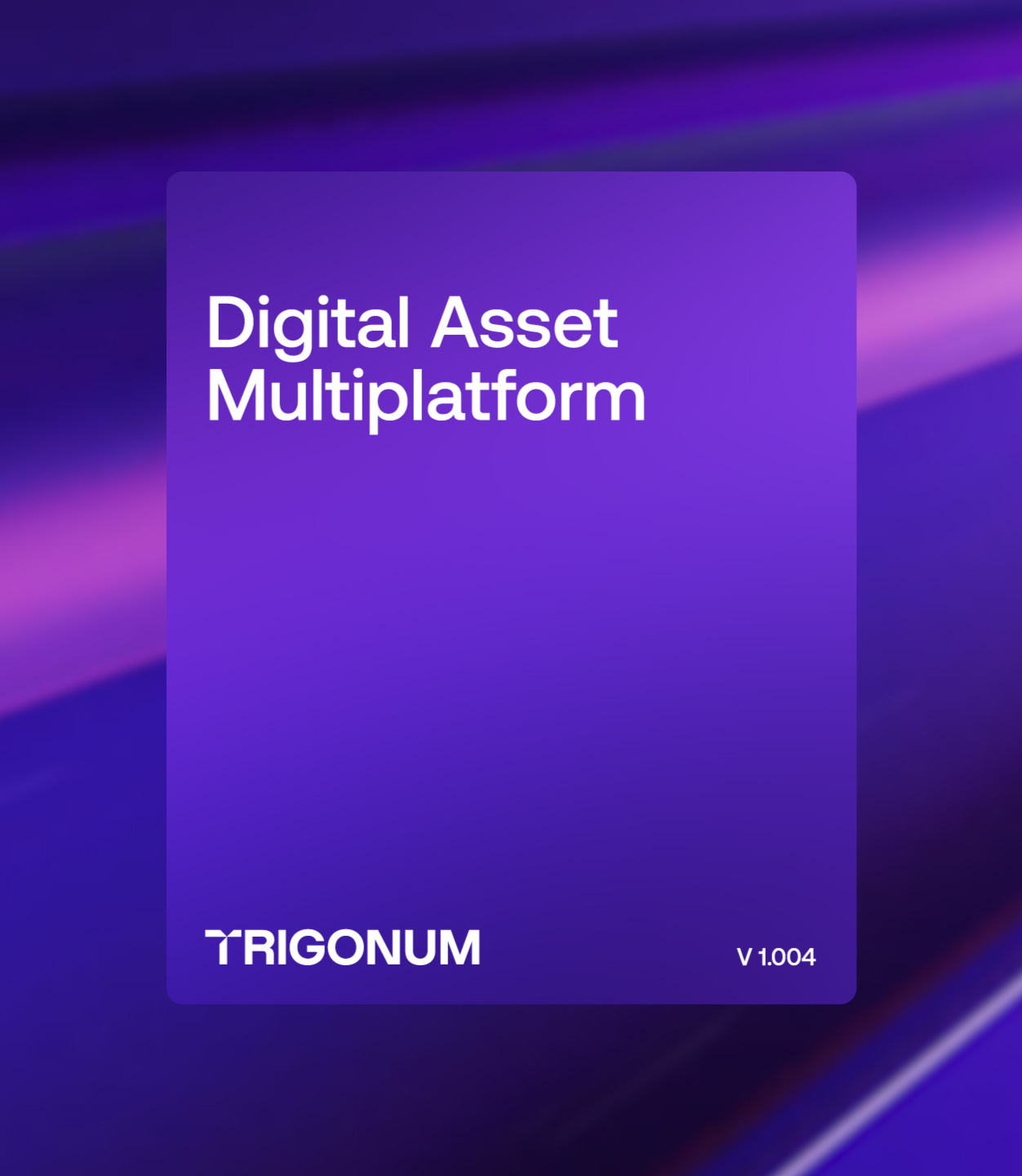 Trigonum — Изображение №3 — Брендинг, Графика на Dprofile