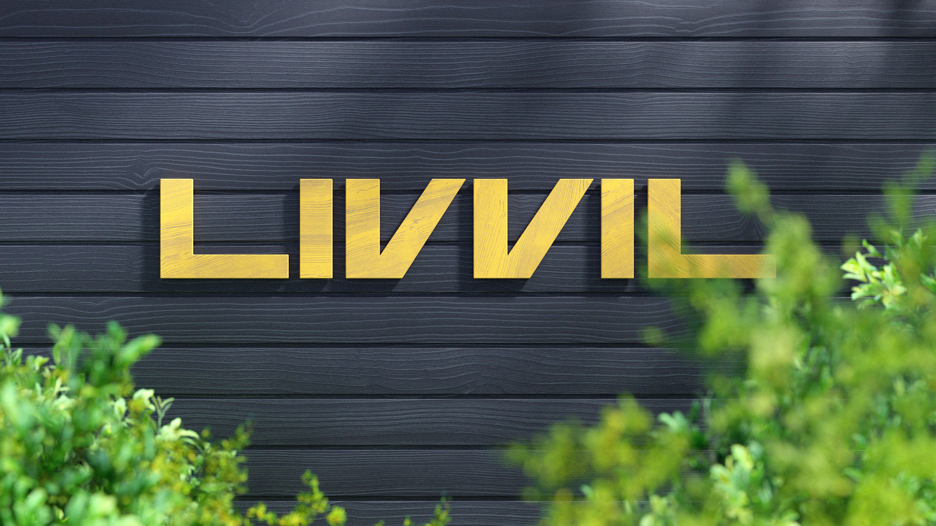 Livvil — Изображение №1 — Интерфейсы, Брендинг на Dprofile