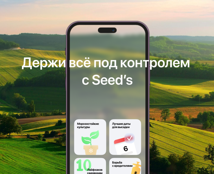 Seed's Mobile App на Dprofile