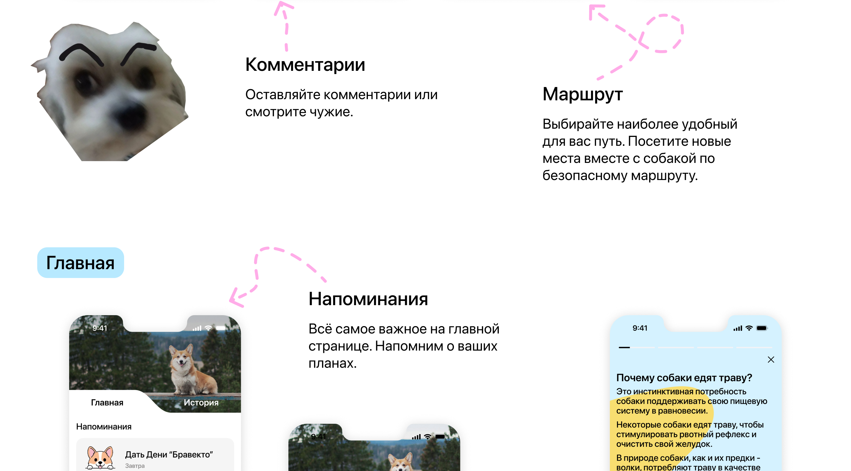 Dogidog | Mobile App — Изображение №9 — Интерфейсы на Dprofile