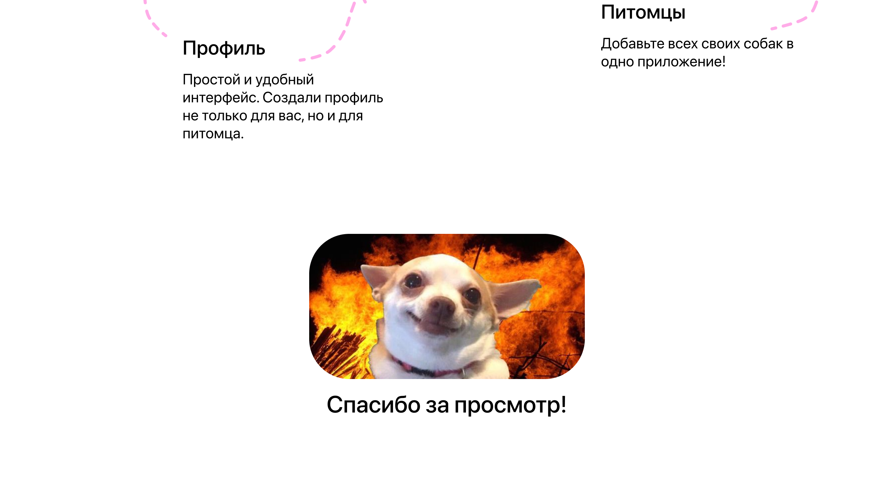 Dogidog | Mobile App — Изображение №12 — Интерфейсы на Dprofile