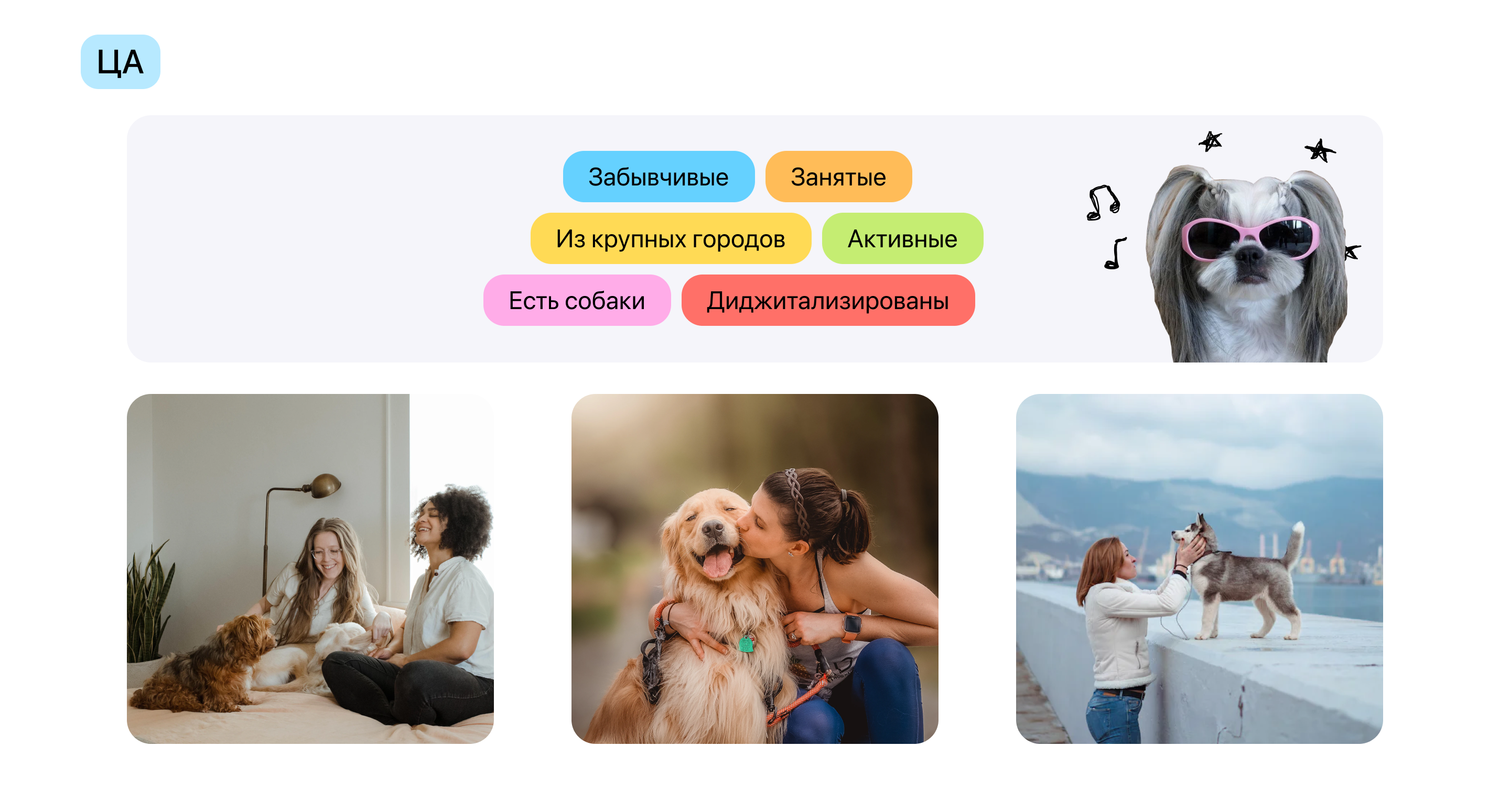 Dogidog | Mobile App — Изображение №4 — Интерфейсы на Dprofile