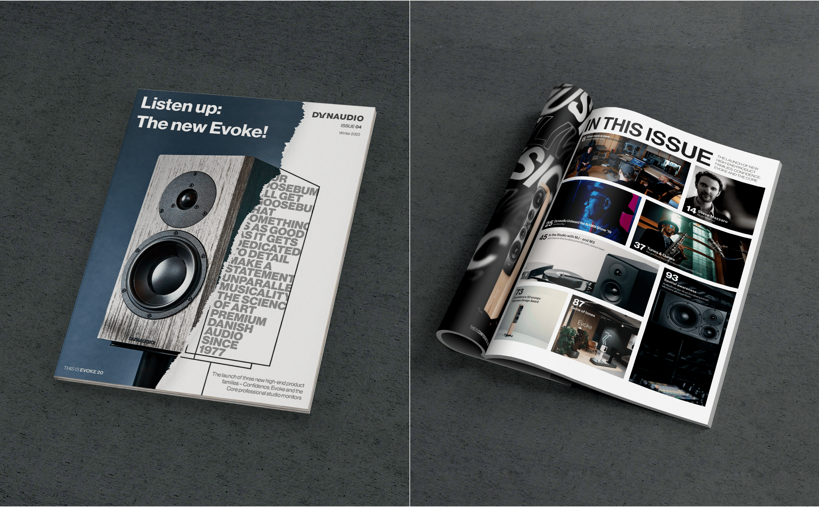 Dynaudio. Website redesign concept — Изображение №13 — Интерфейсы на Dprofile