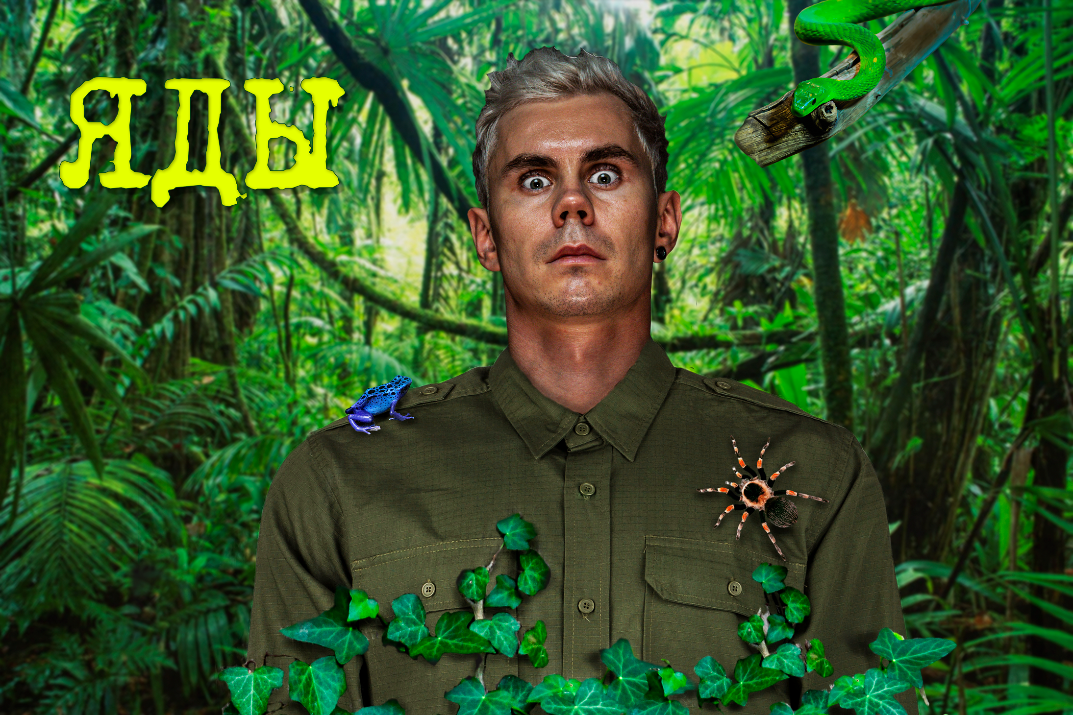 Превью к ролику “ Яды” Яна Топлеса — Изображение №1 — Графика на Dprofile