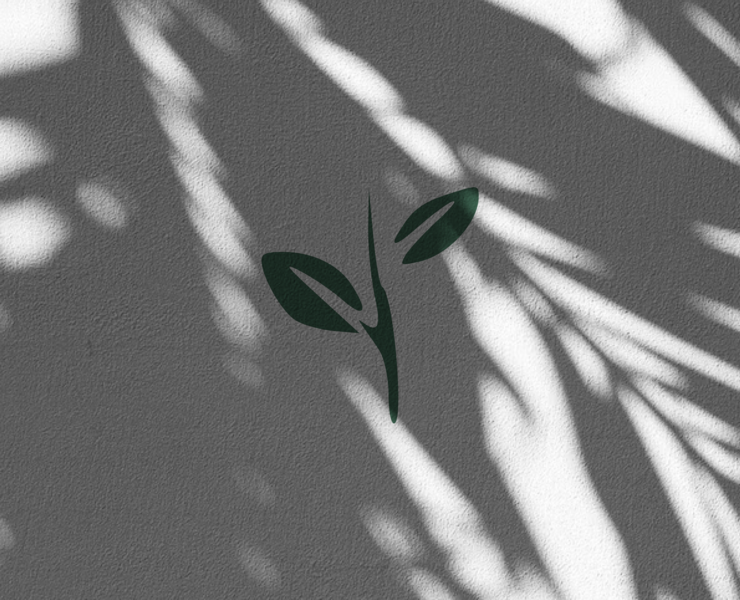 Разработка логотипа Зелёное Наследие — Иллюстрация, Графика на Dprofile