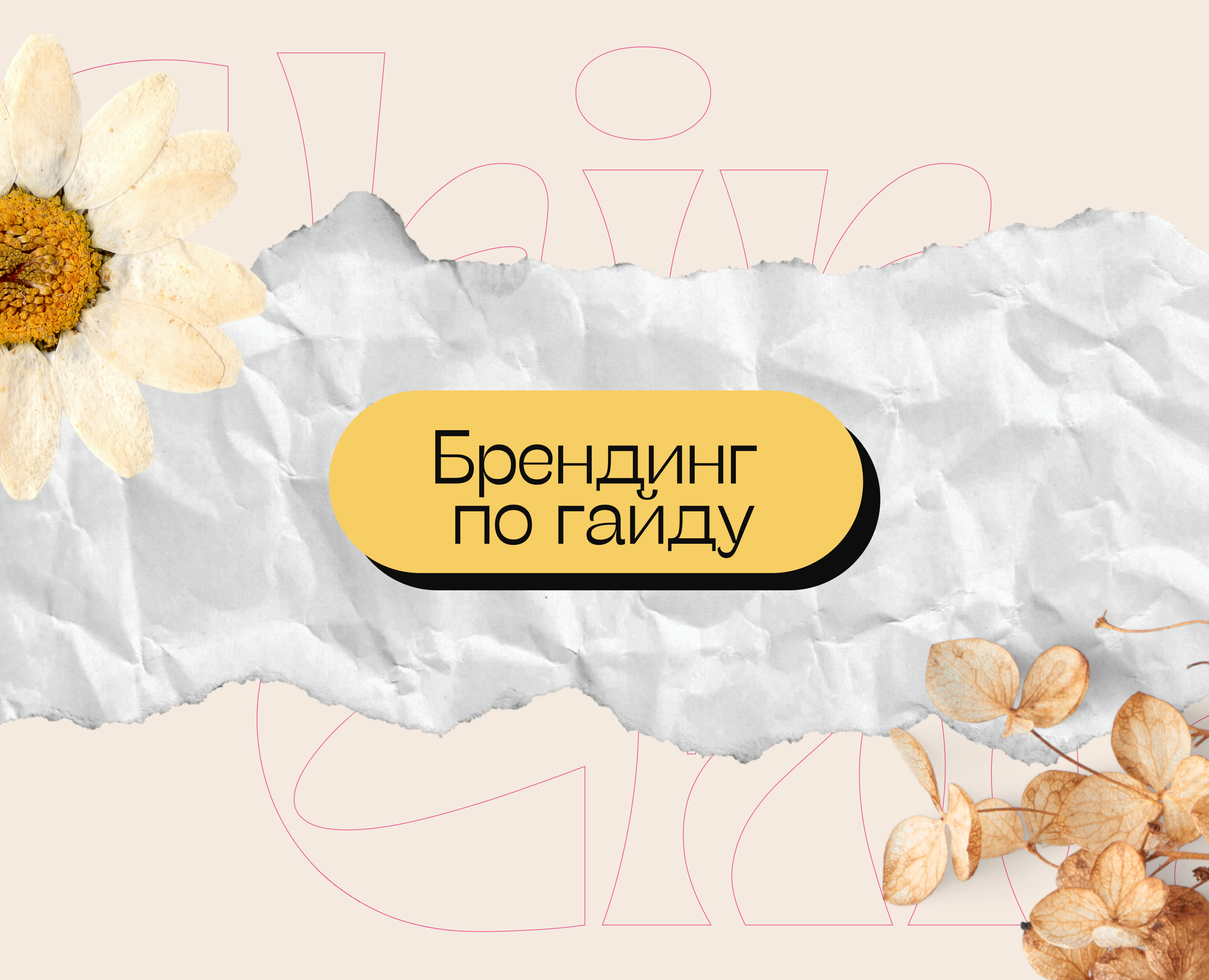 Упаковка по гайду винного бара — Брендинг на Dprofile