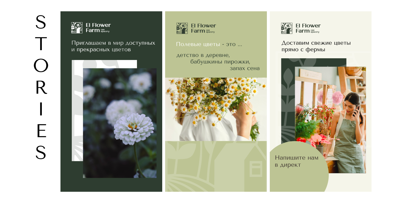 Ведение соцсети, рекламный баннер для цветочной фермы — Изображение №6 — Брендинг, Маркетинг на Dprofile