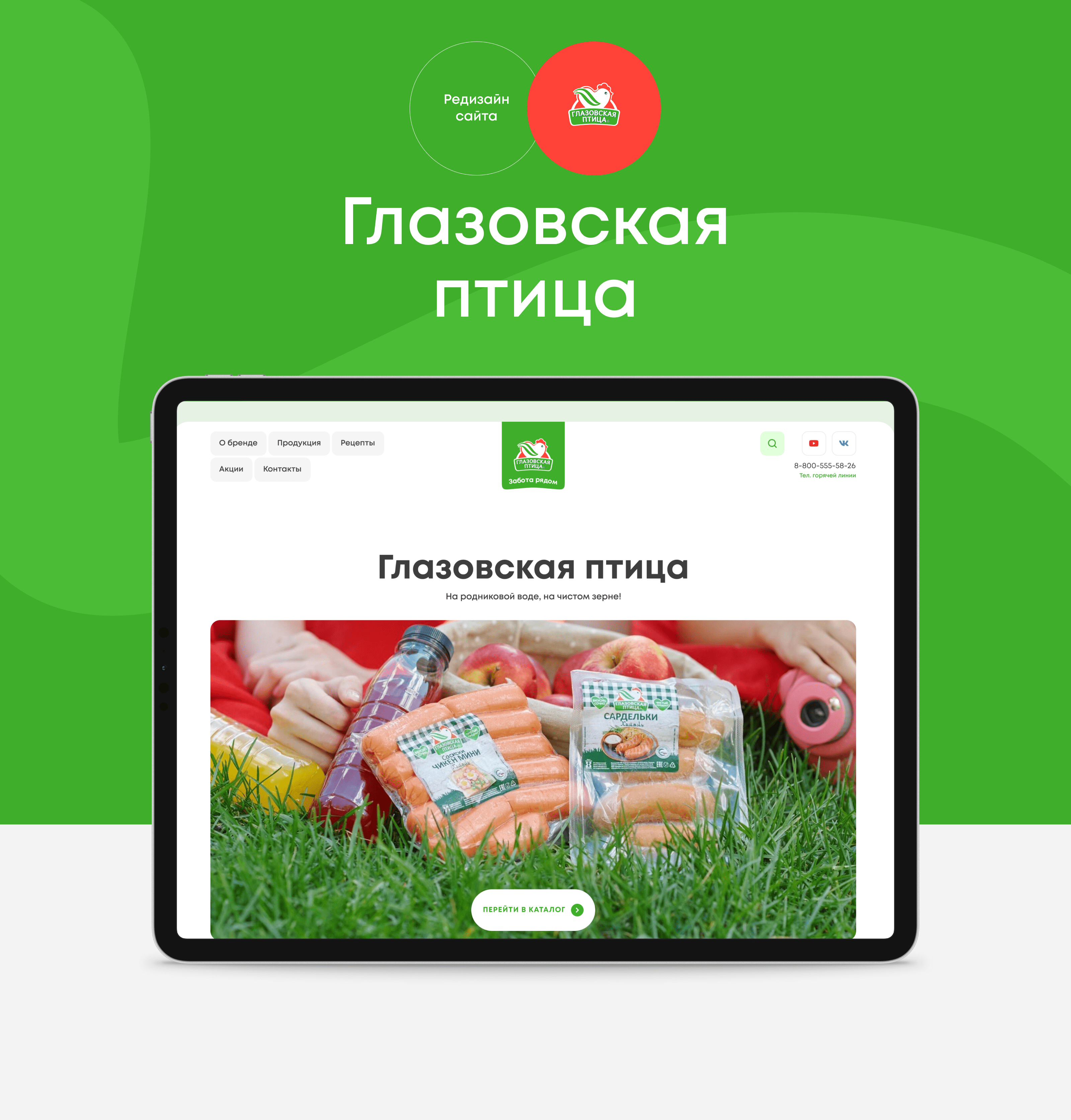 Глазовская птица | Редизайн сайта — Изображение №1 — Интерфейсы на Dprofile