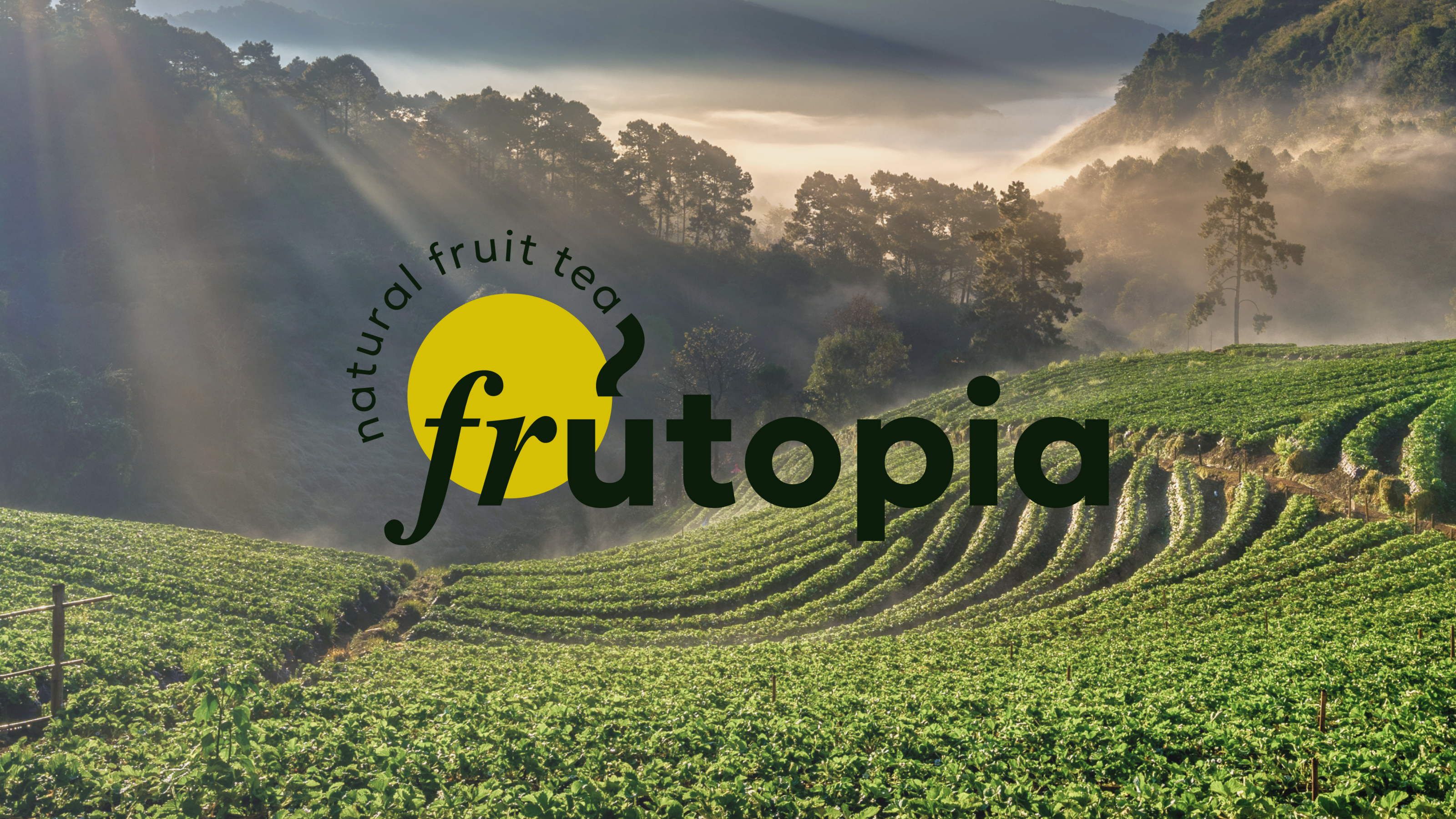 Logo and packaging for natural fruit tea Frutopia — Изображение №1 — Брендинг, Иллюстрация на Dprofile