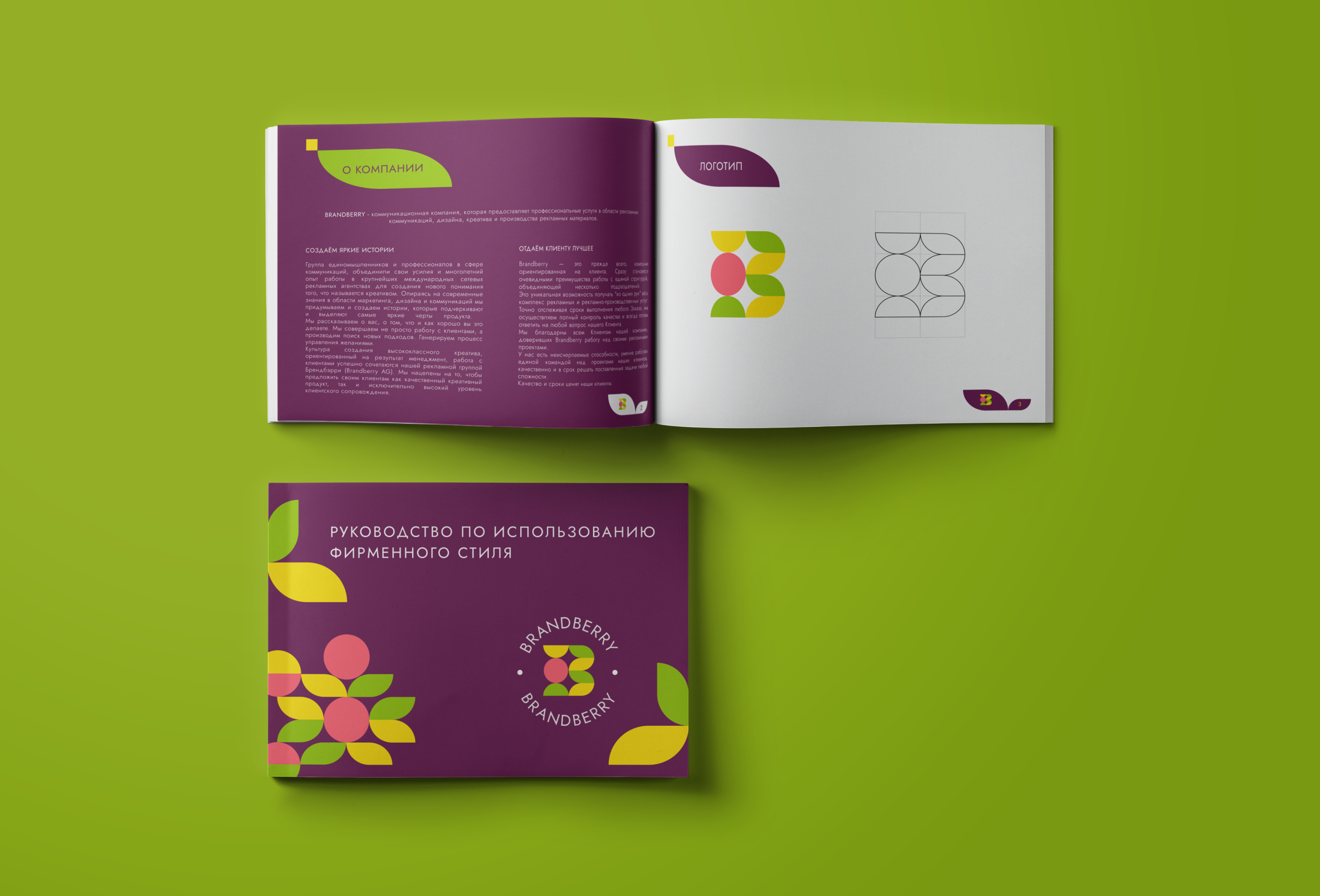 Фирменный стиль BRANDBERRY — Изображение №10 — Брендинг на Dprofile
