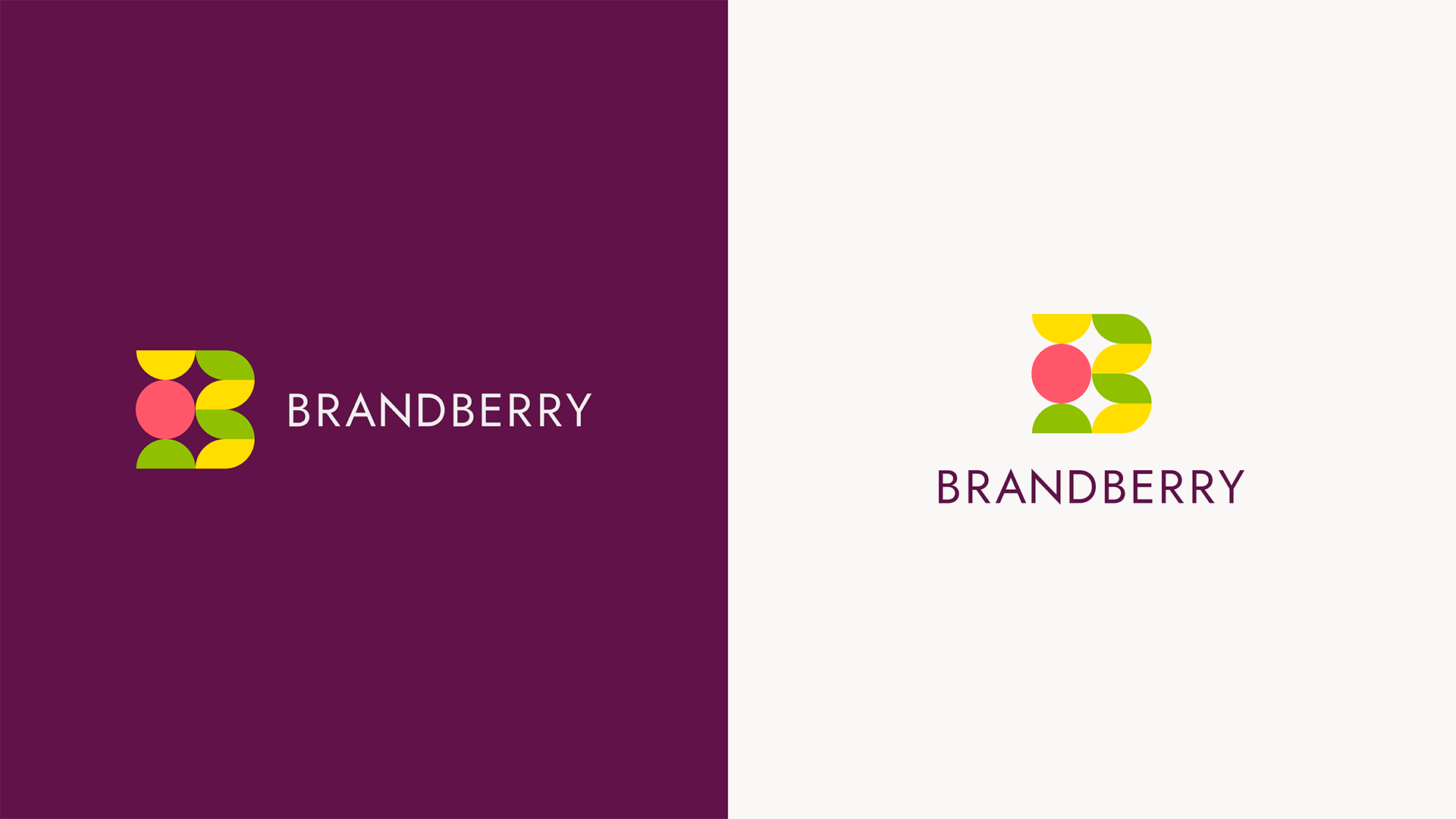 Фирменный стиль BRANDBERRY — Изображение №3 — Брендинг на Dprofile