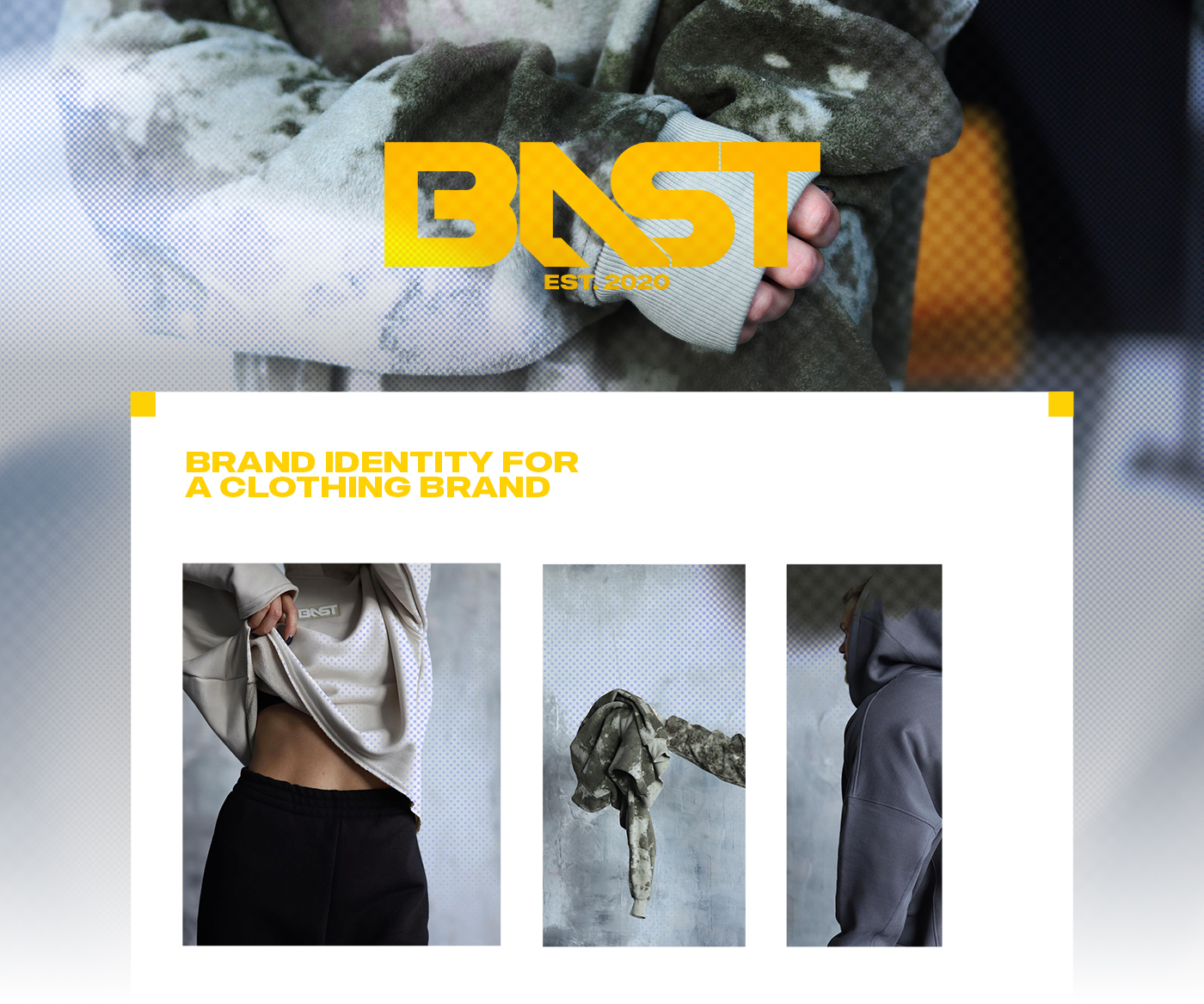 АЙДЕНТИКА ДЛЯ BAST BRAND — Изображение №1 — Брендинг на Dprofile