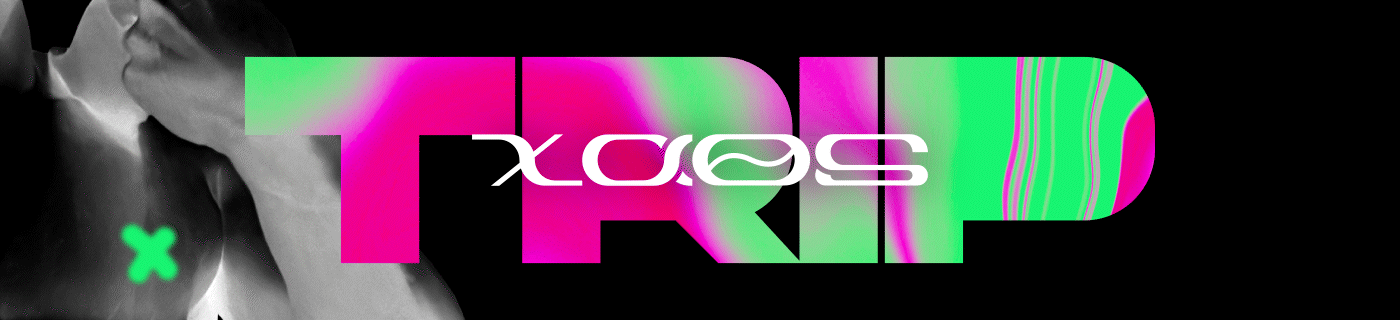 АЙДЕНТИКА ДЛЯ ФЕСТИВАЛЯ TRIP XAOS — Изображение №2 — Брендинг на Dprofile