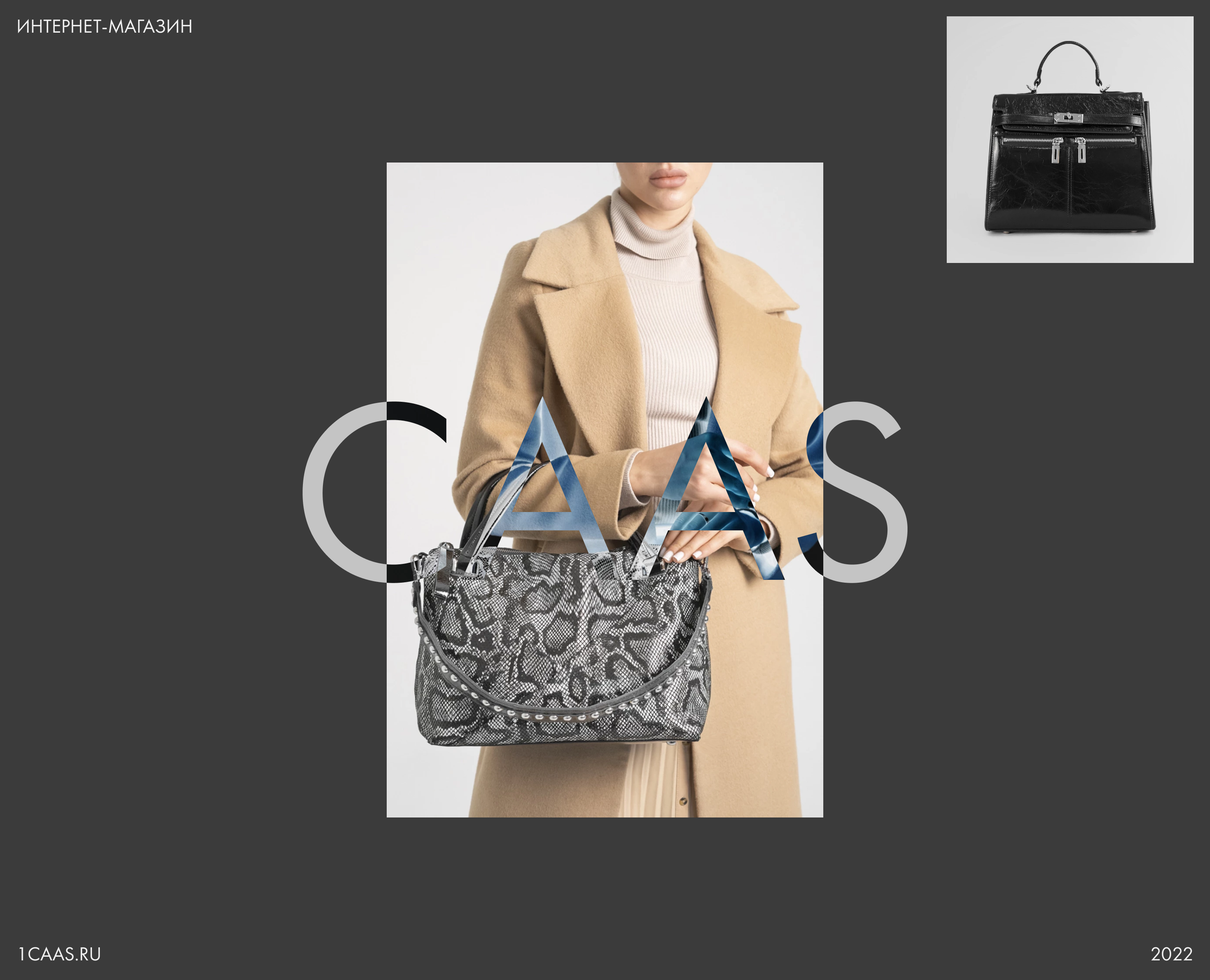 CAAS | Интернет-магазин — Интерфейсы на Dprofile