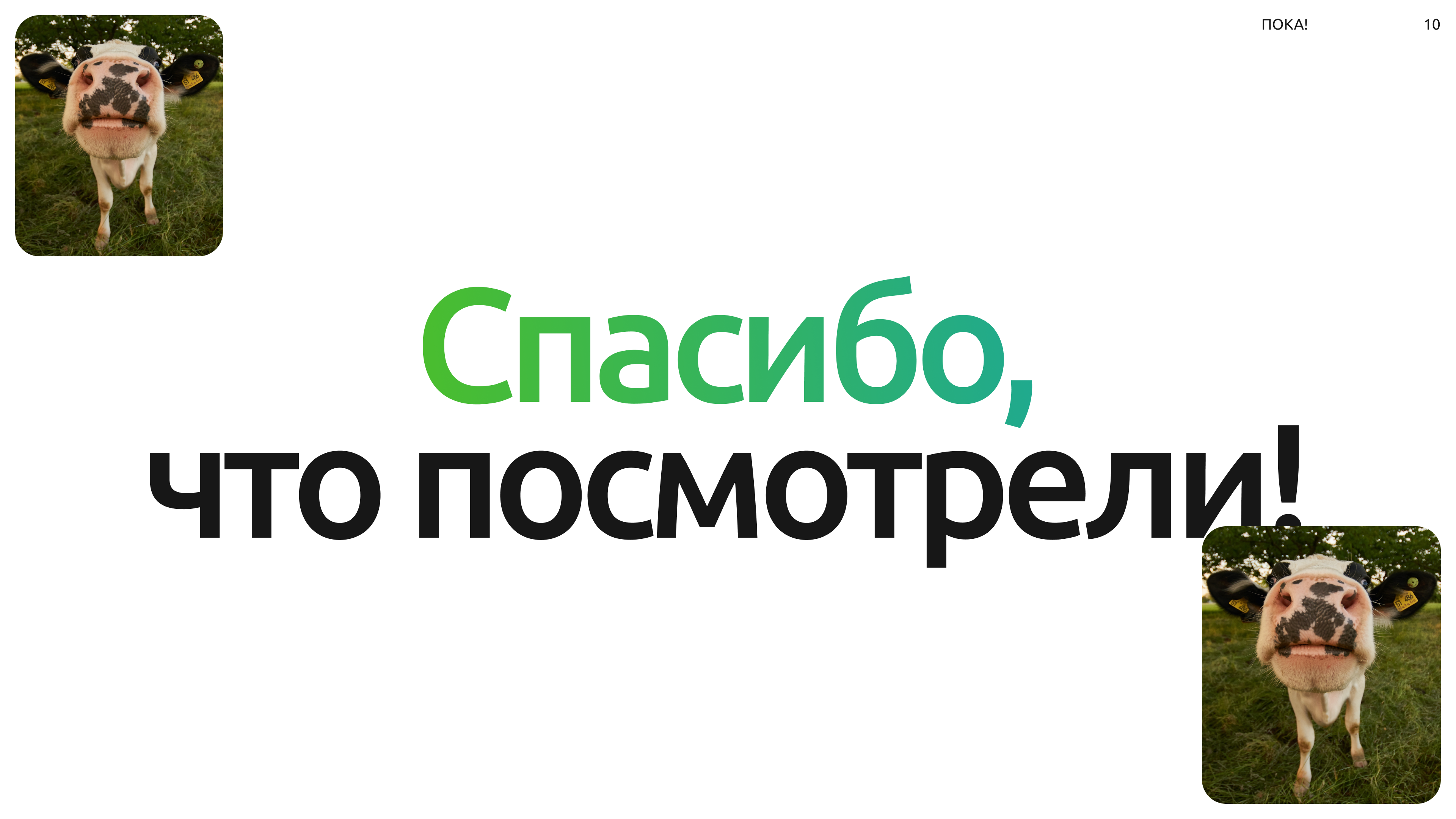 ОмГАУ | Карта — Изображение №9 — Интерфейсы, Графика на Dprofile