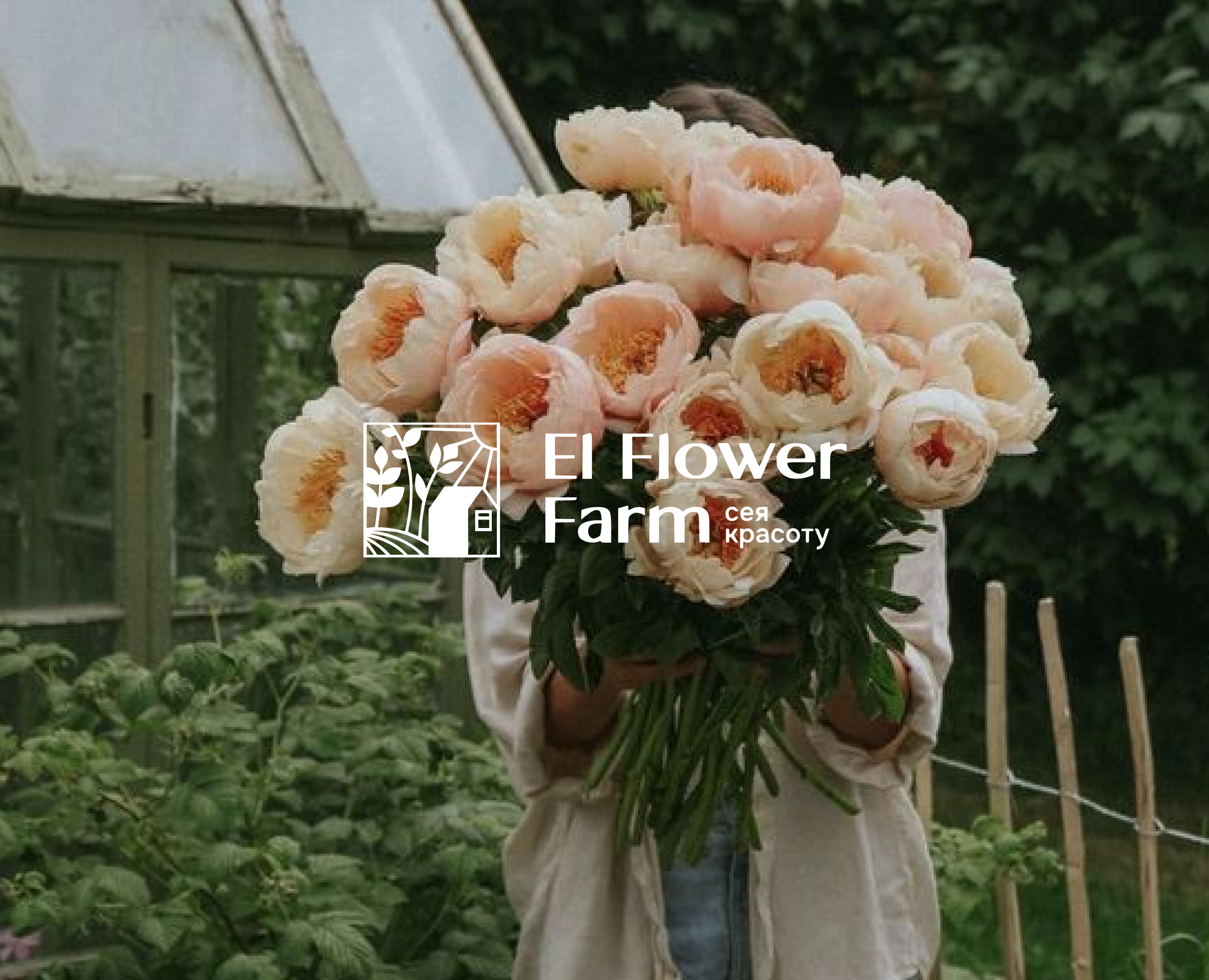 El Flower Farm на Dprofile