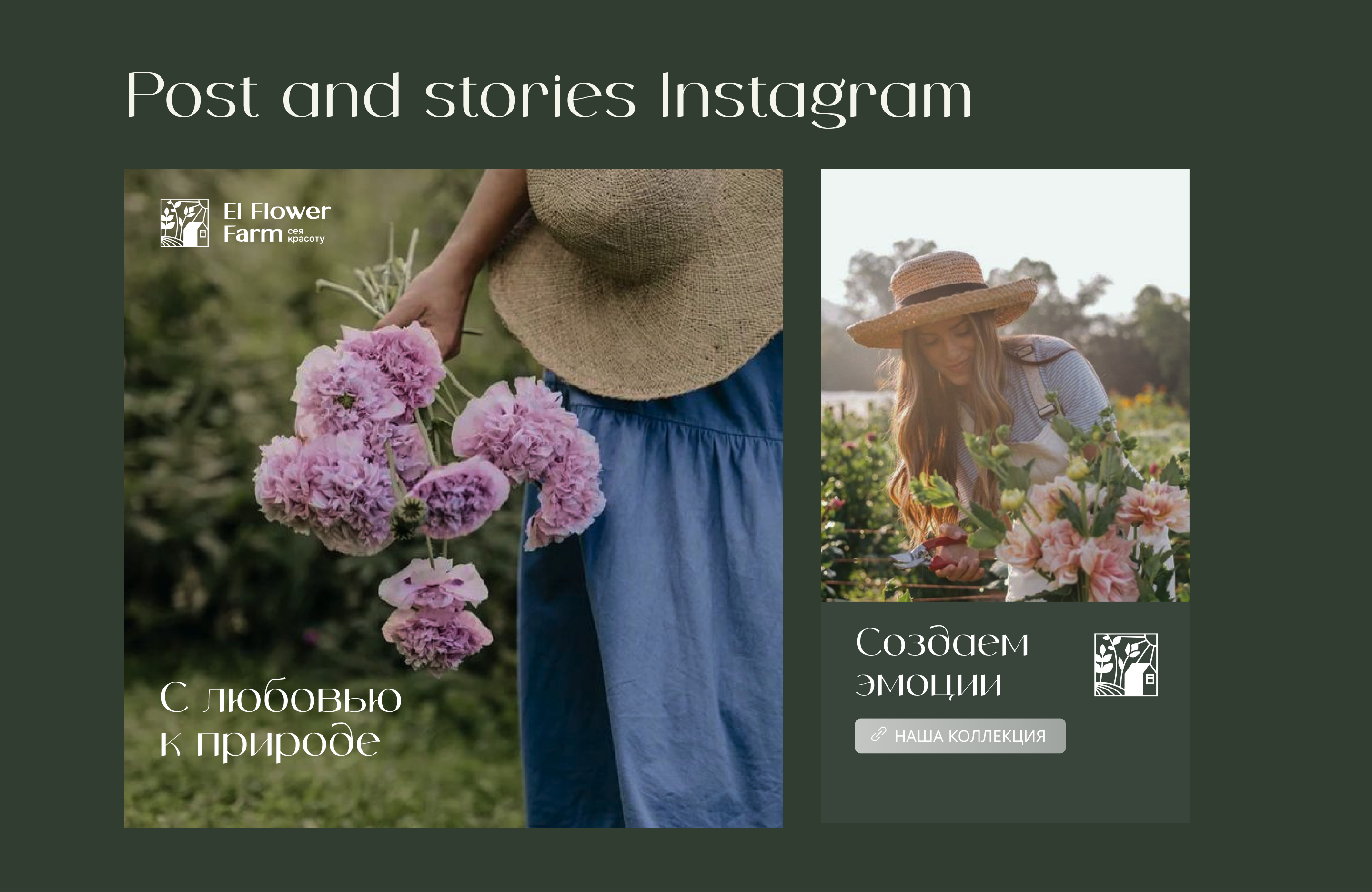 El Flower Farm — Изображение №5 — Графика, Маркетинг на Dprofile