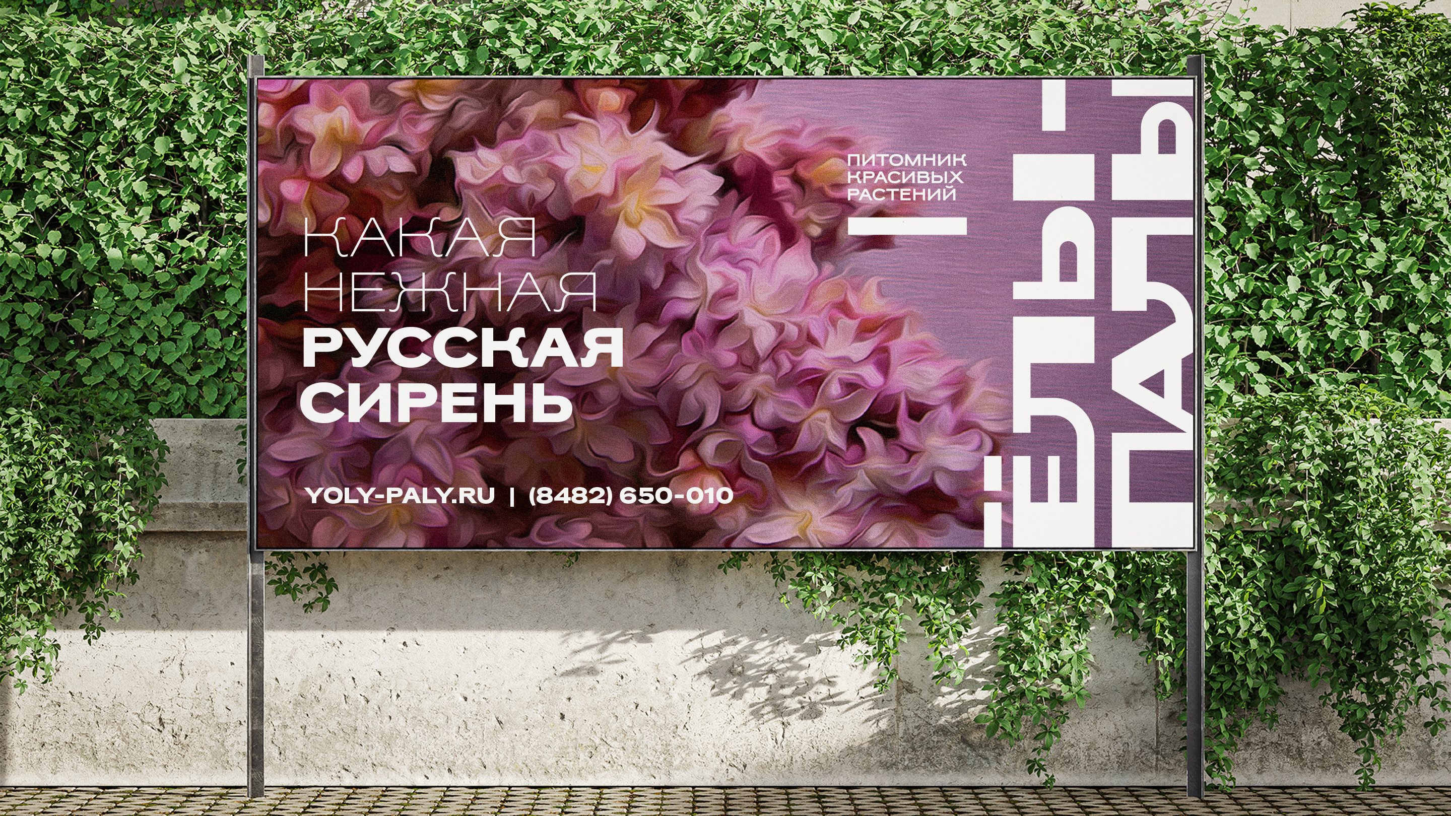Ёлы-палы — Изображение №9 — Брендинг на Dprofile