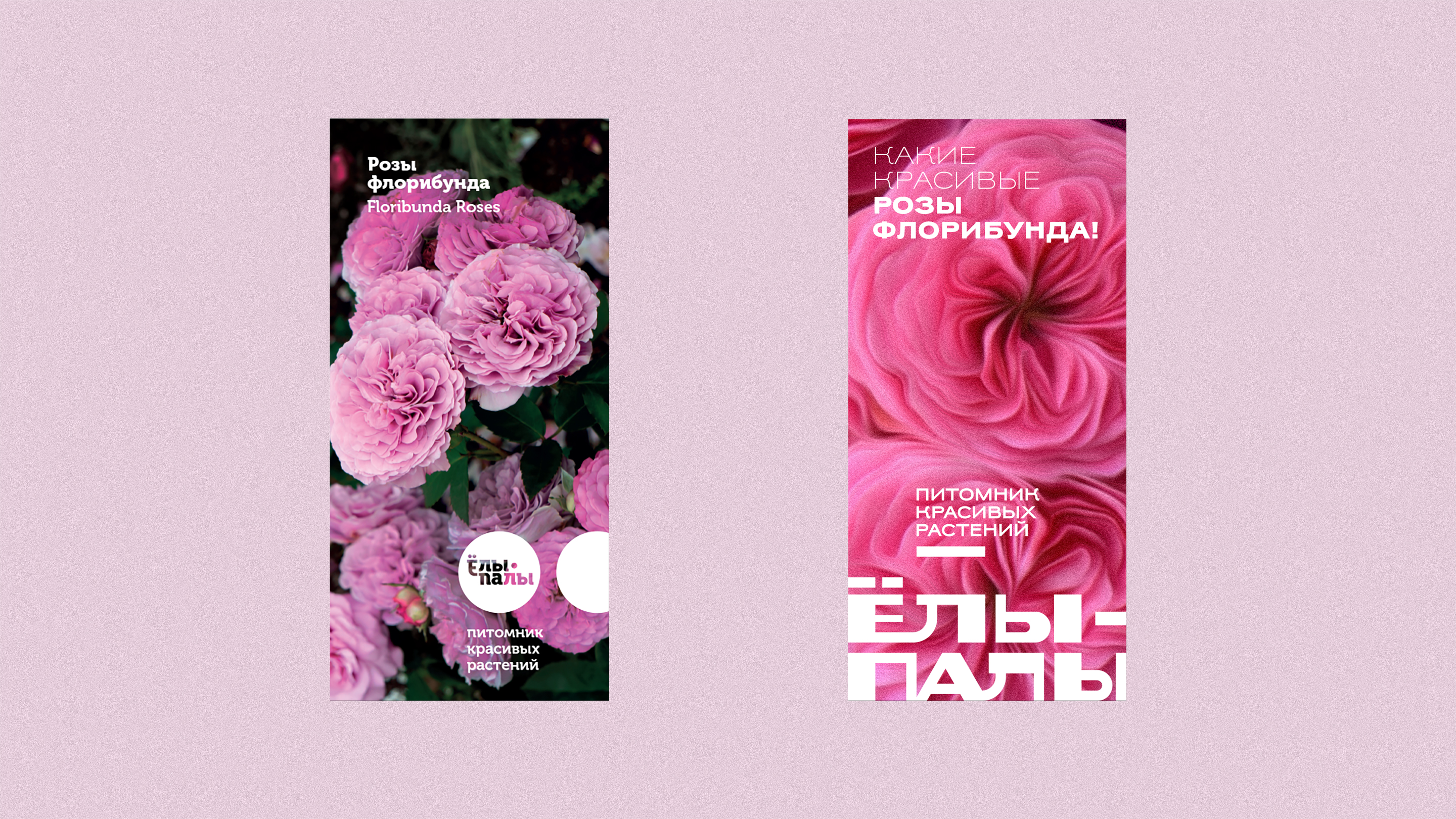 Ёлы-палы — Изображение №5 — Брендинг на Dprofile