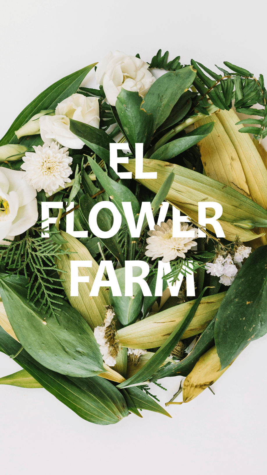 Цветочная ферма EL FLOWER FARM — Изображение №1 — Графика на Dprofile