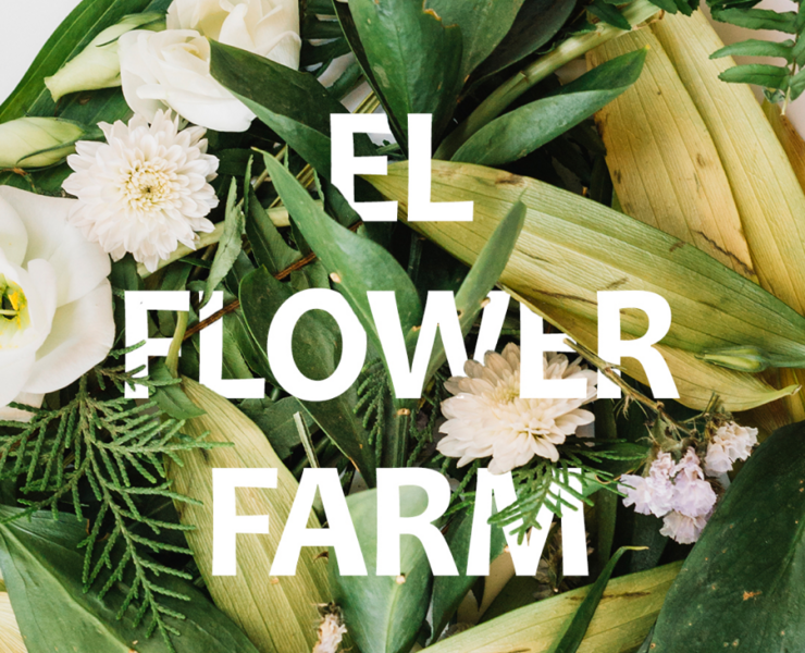 Цветочная ферма EL FLOWER FARM — Графика на Dprofile