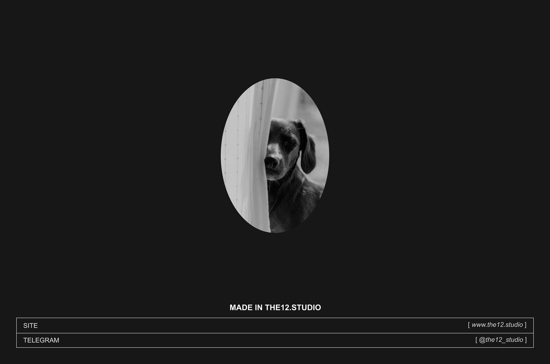 ЛОГОТИП ДЛЯ БРЕНДА ETEREA / LOGOTYPE FOR BRAND / DESIGN — Изображение №15 — Брендинг на Dprofile