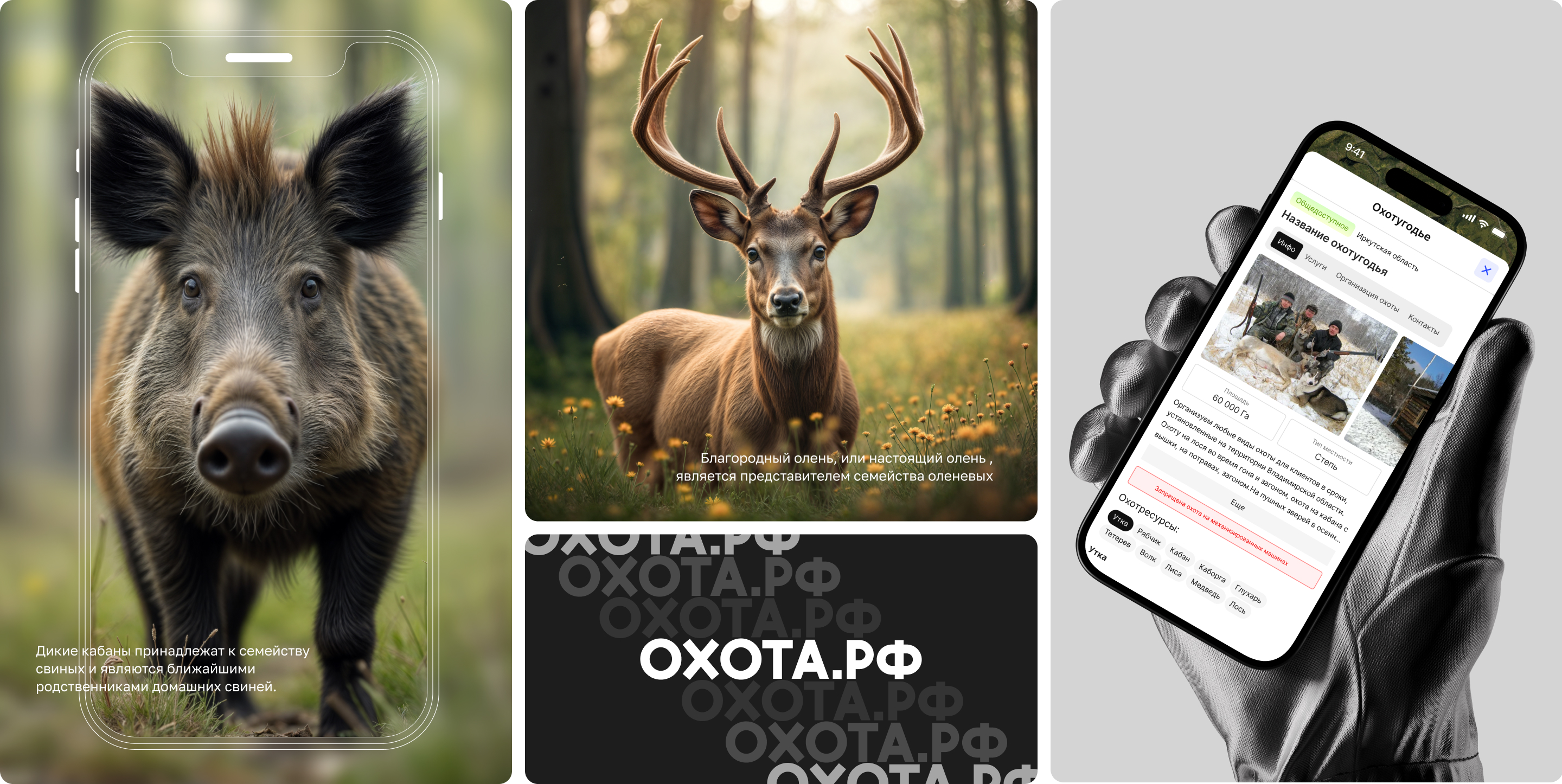 ОХОТА.рф — Изображение №9 — Интерфейсы на Dprofile