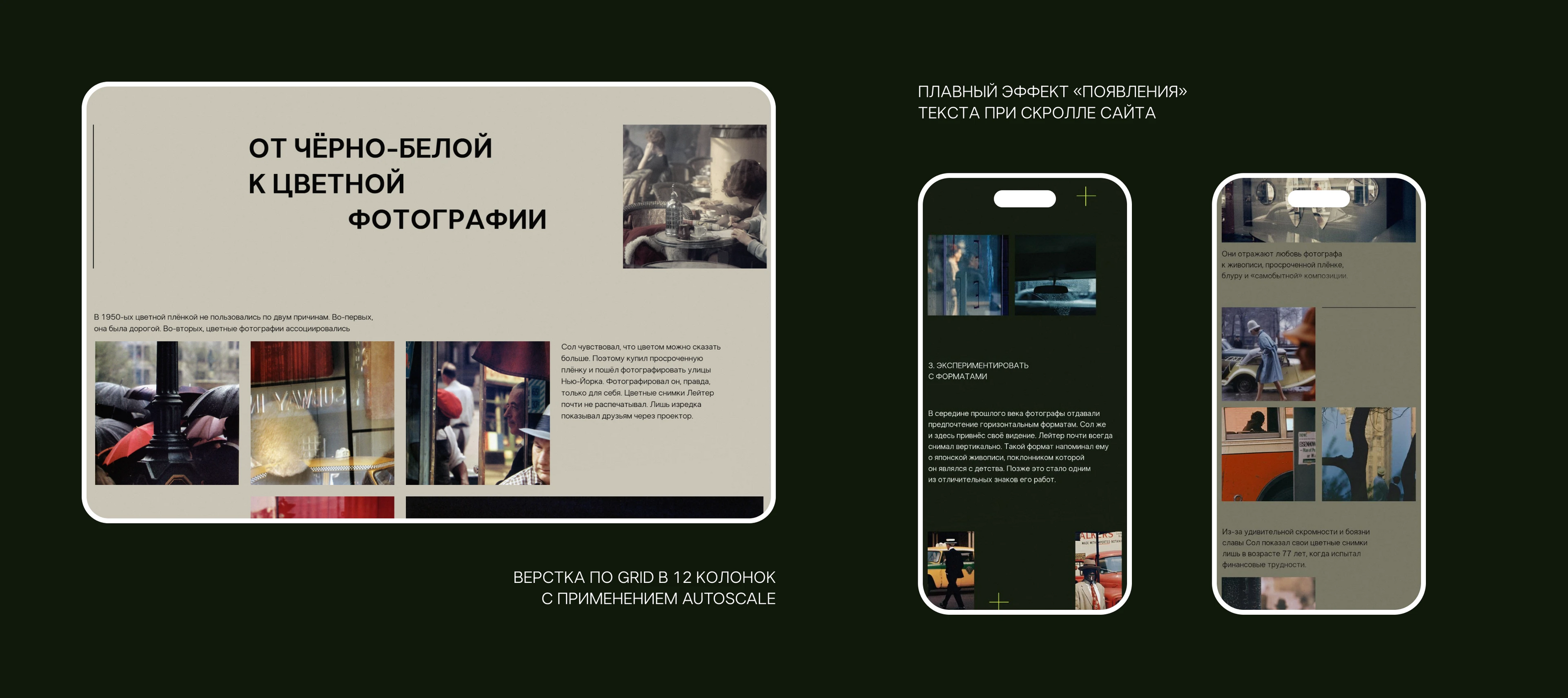 SAUL LEITER | Дизайн и верстка лендинга — Изображение №7 — Интерфейсы на Dprofile
