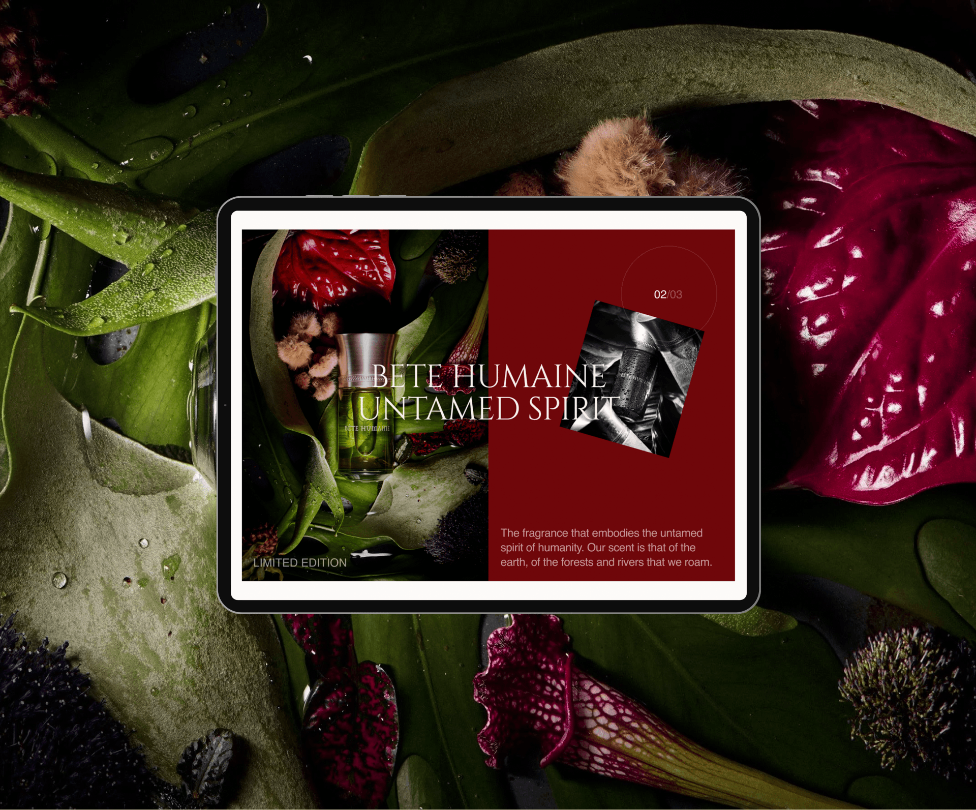 Liquides Imaginaires | Ecommerce Redesign — Изображение №6 — Интерфейсы, Анимация на Dprofile