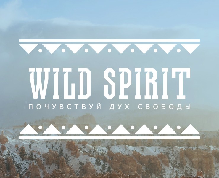 WILD SPIRIT | бренд товаров для дома — Брендинг на Dprofile