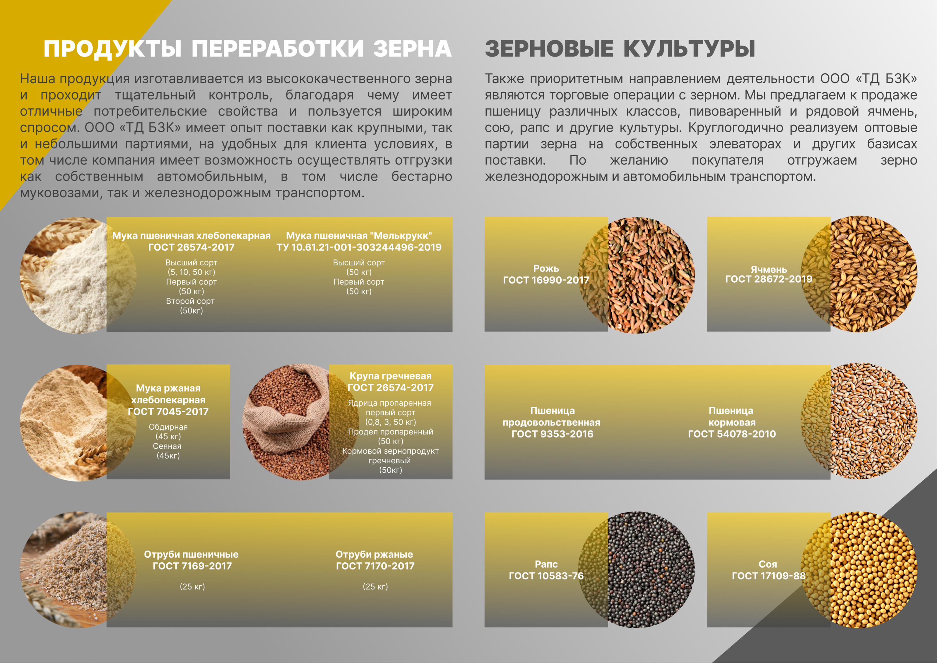 Рекламная листовка для выставки — Изображение №5 — Брендинг, Графика на Dprofile