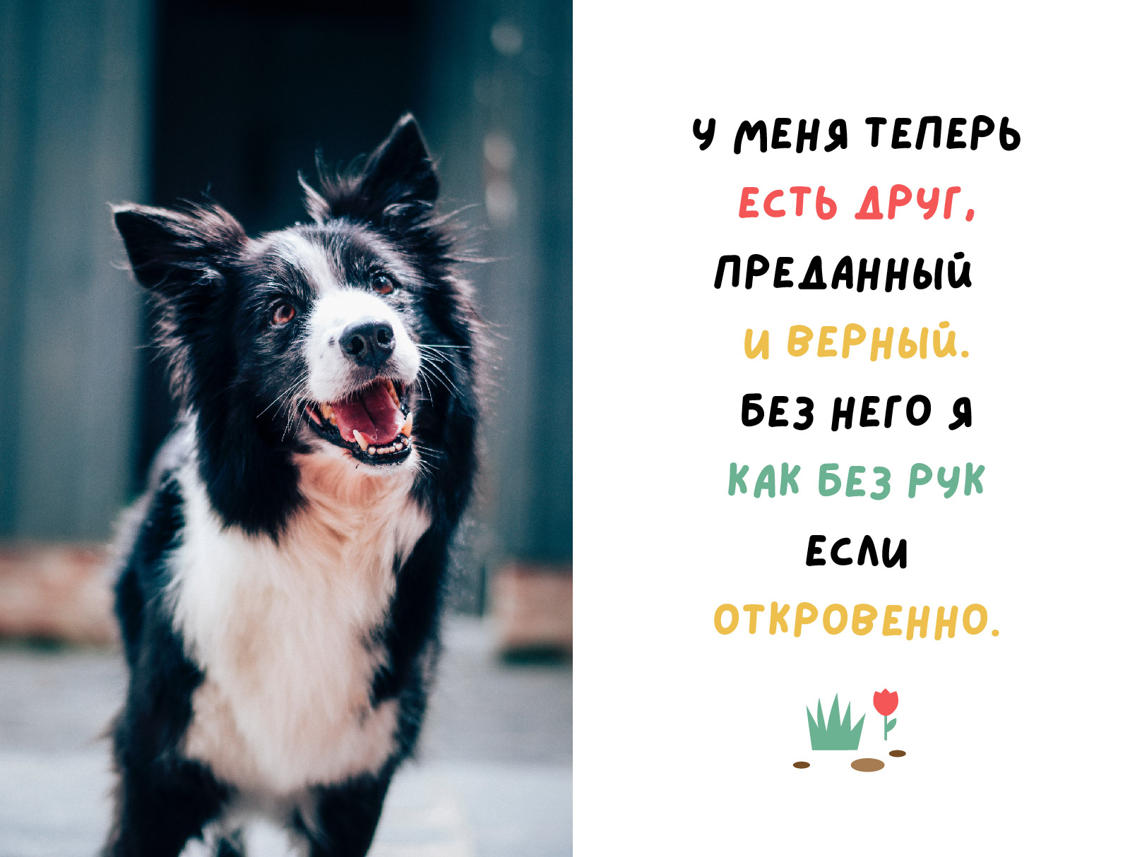 Lazydog детский шрифт — Изображение №3 — Иллюстрация на Dprofile