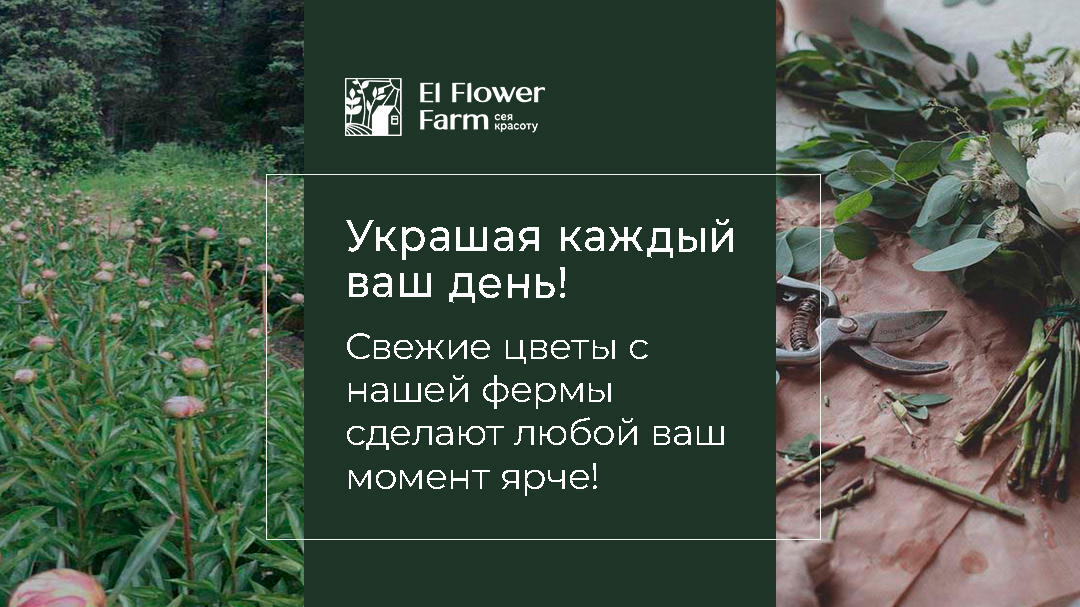 Рекламные баннеры и дизайн соцсетей для цветочной фермы — Изображение №4 — Графика, Маркетинг на Dprofile