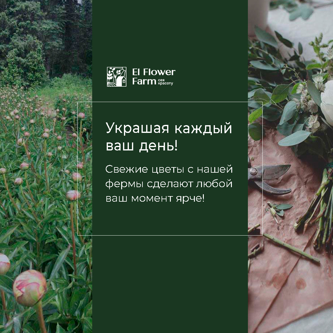 Рекламные баннеры и дизайн соцсетей для цветочной фермы — Изображение №6 — Графика, Маркетинг на Dprofile
