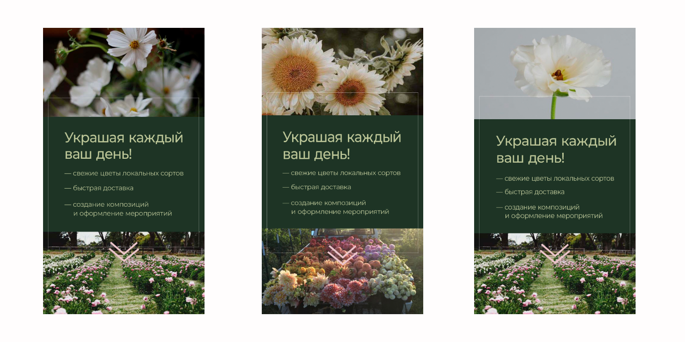 Рекламные баннеры и дизайн соцсетей для цветочной фермы — Изображение №7 — Графика, Маркетинг на Dprofile