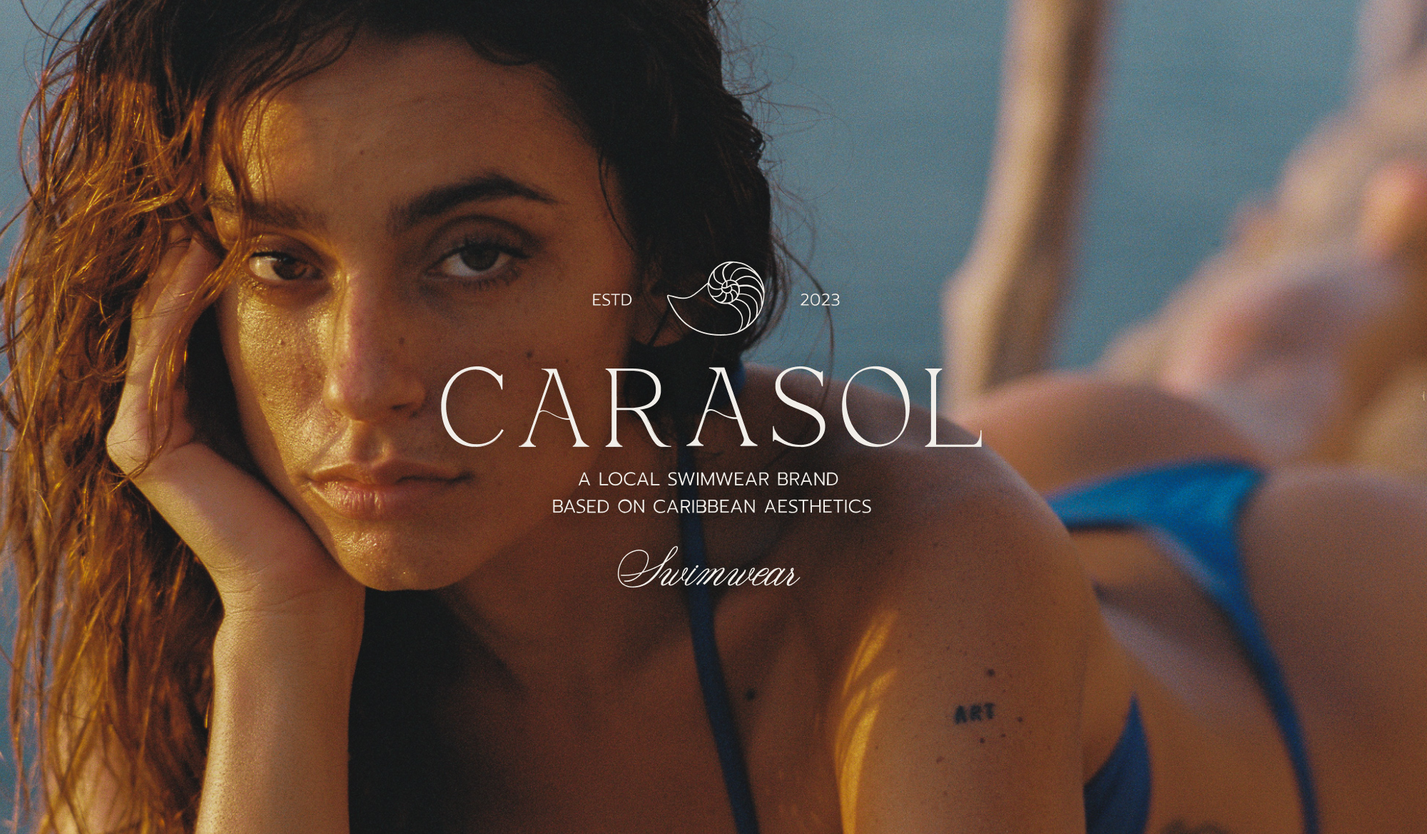 Carasol | Branding & Web — Изображение №10 — Брендинг на Dprofile