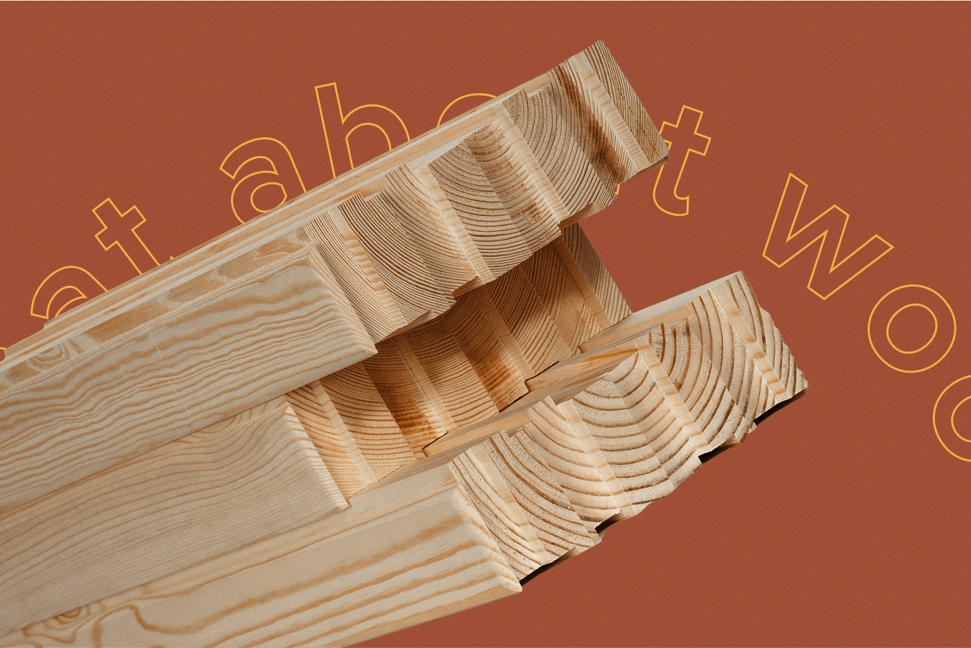 FOREST BRICK — Изображение №16 — Брендинг, Анимация на Dprofile
