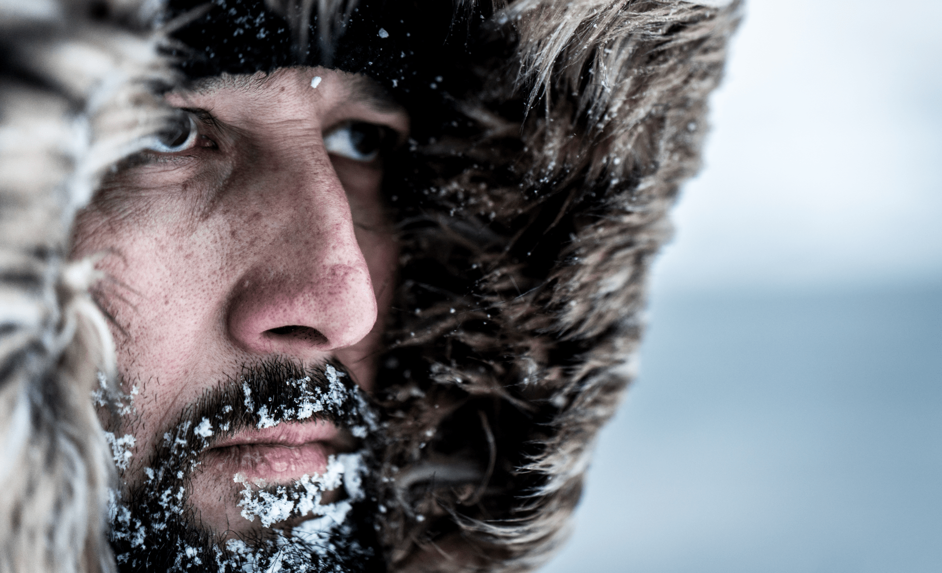 INARCTICA — Изображение №9 — Интерфейсы, Анимация на Dprofile