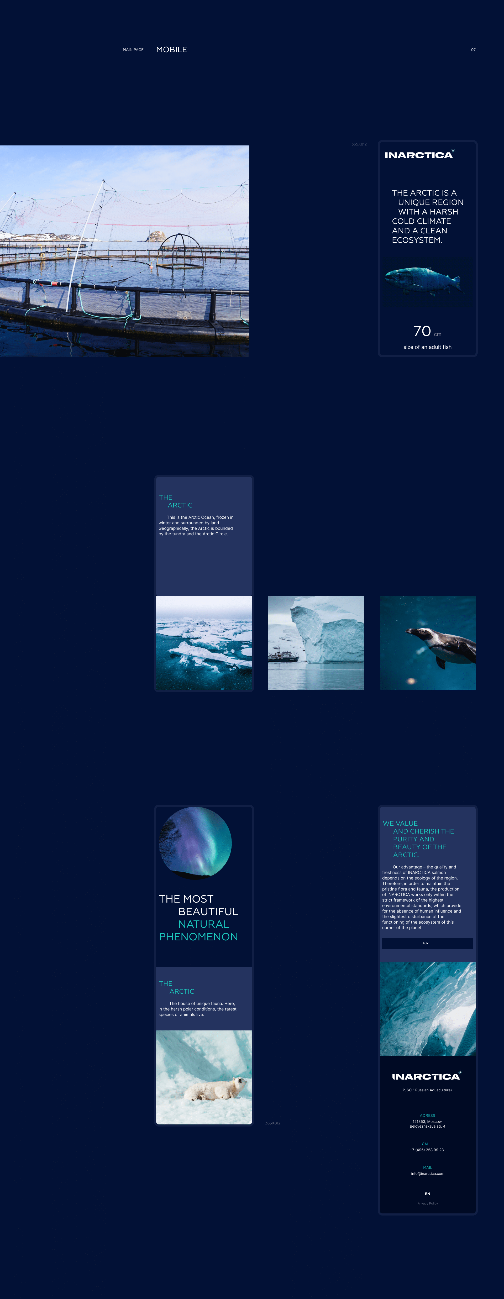 INARCTICA — Изображение №13 — Интерфейсы, Анимация на Dprofile