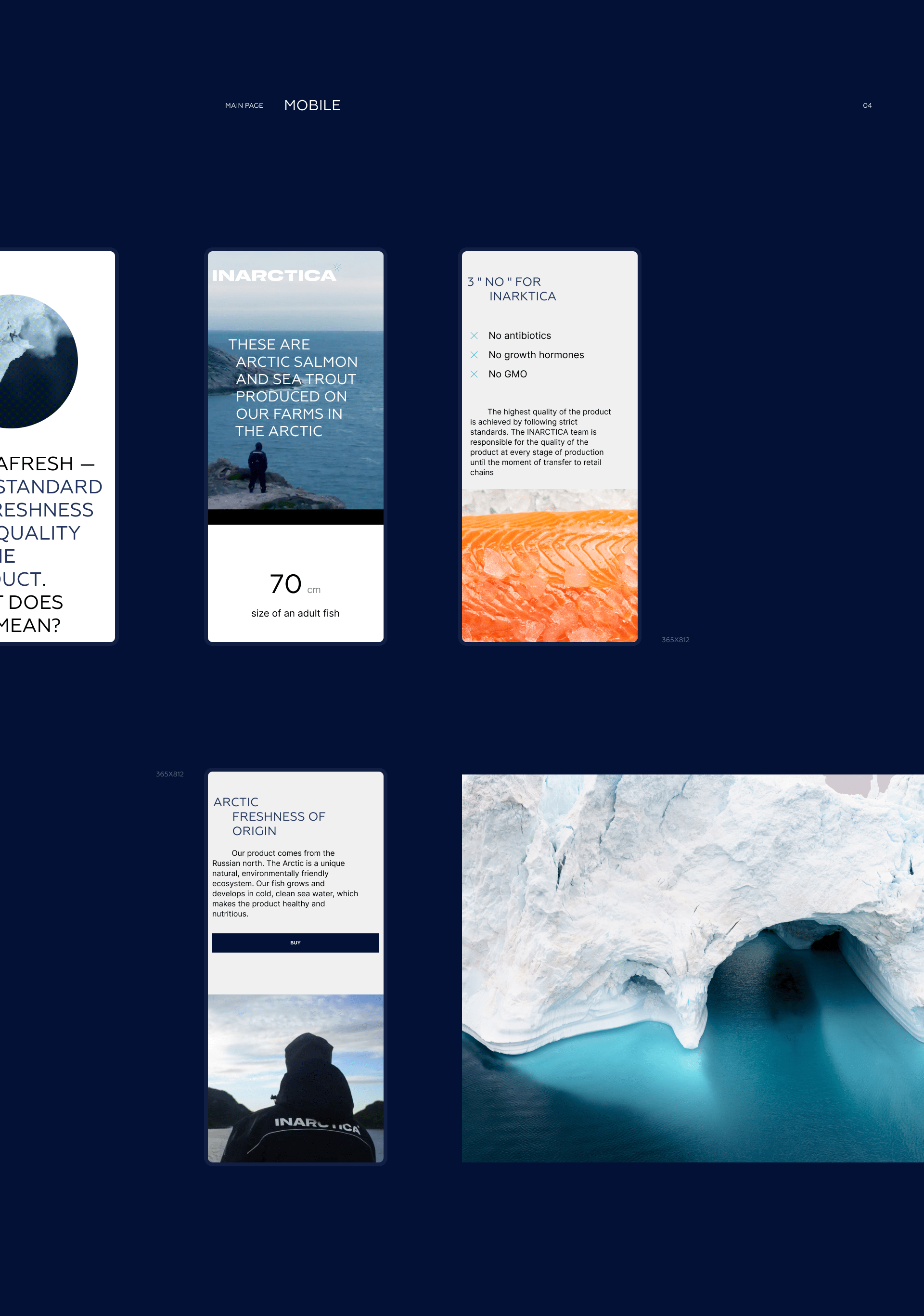 INARCTICA — Изображение №8 — Интерфейсы, Анимация на Dprofile