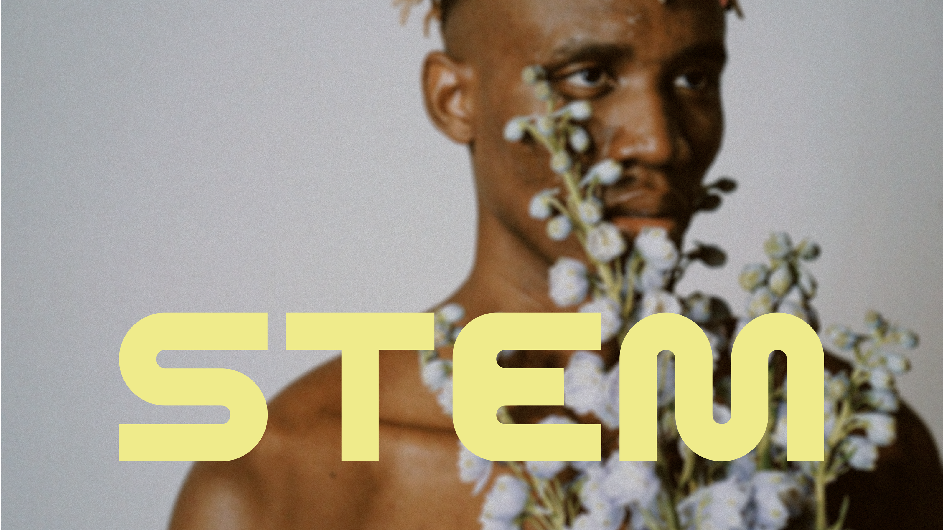 STEM | Flower shop branding — Изображение №1 — Брендинг на Dprofile