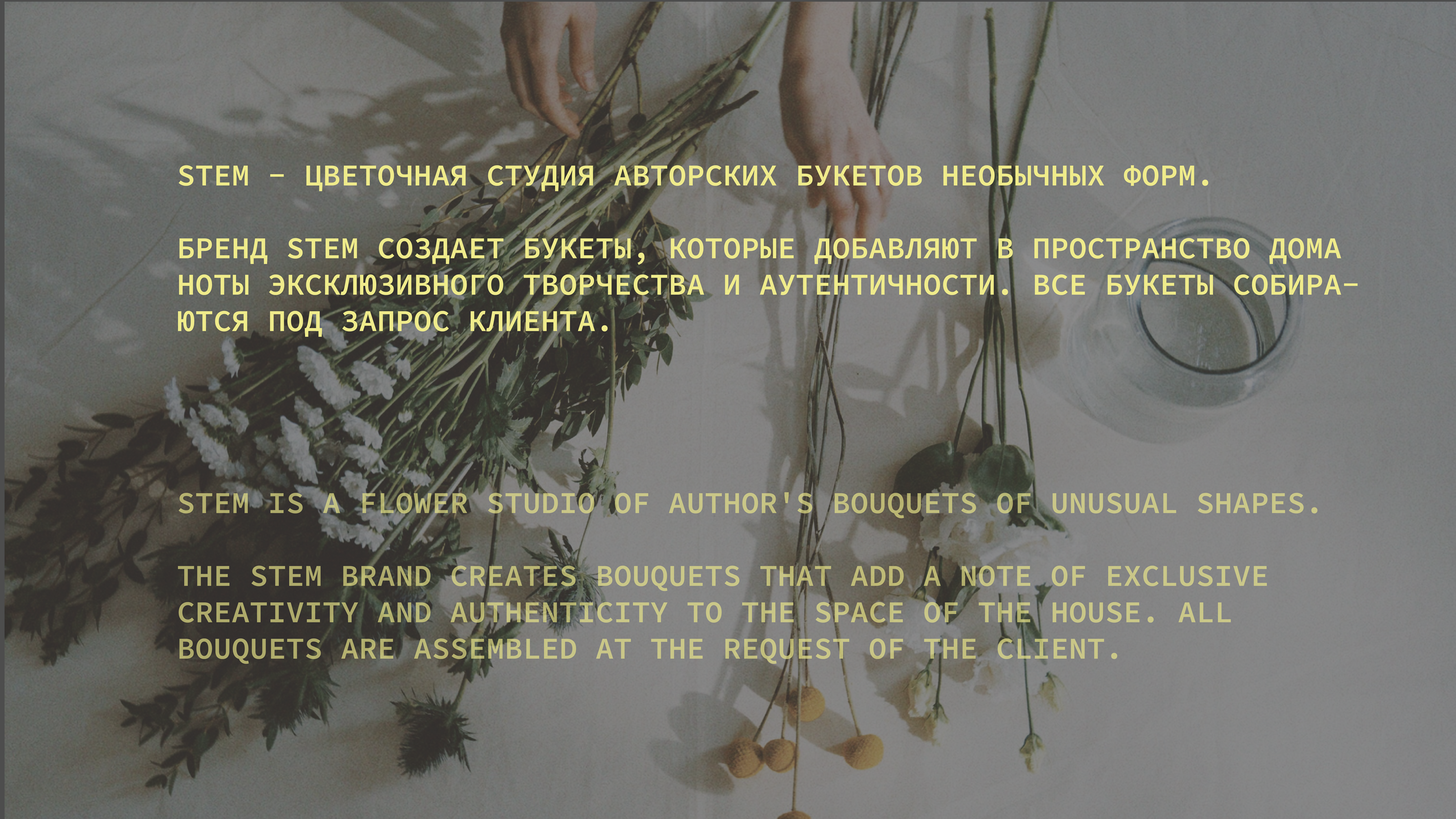 STEM | Flower shop branding — Изображение №2 — Брендинг на Dprofile